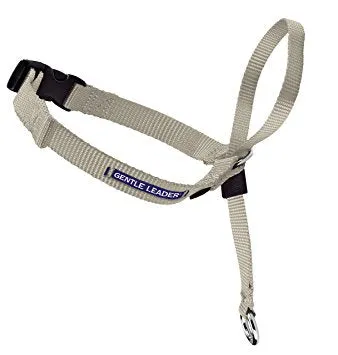Gentle Leader Headcollar