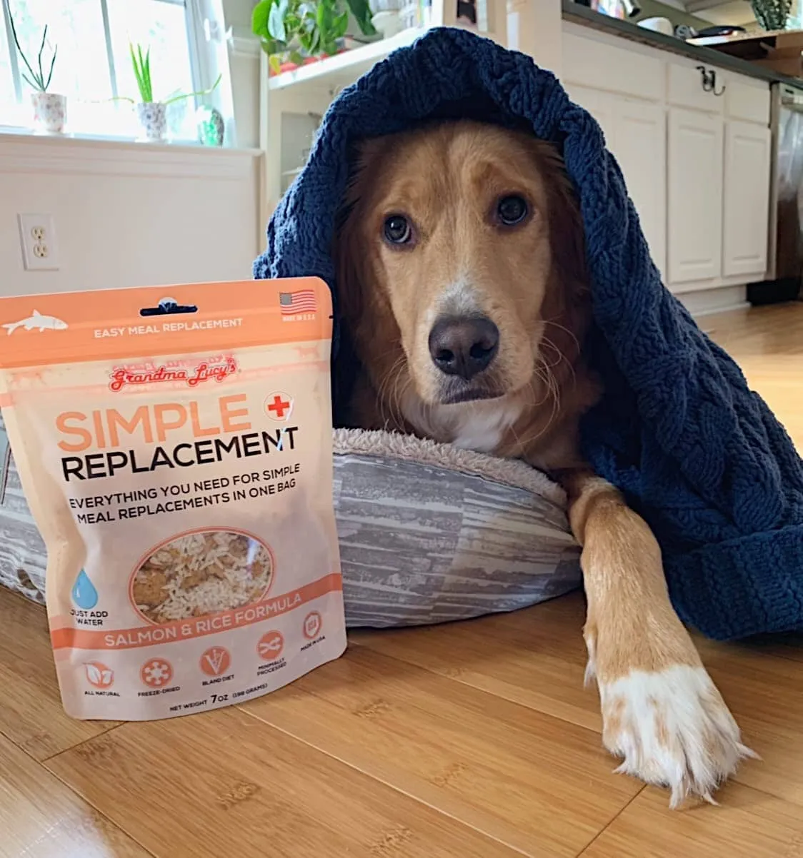 Grandma Lucy's Salmon & Rice Upset Stomach Formula Freeze-Dried Supplemental Cat Treats - 7 Oz Bag
