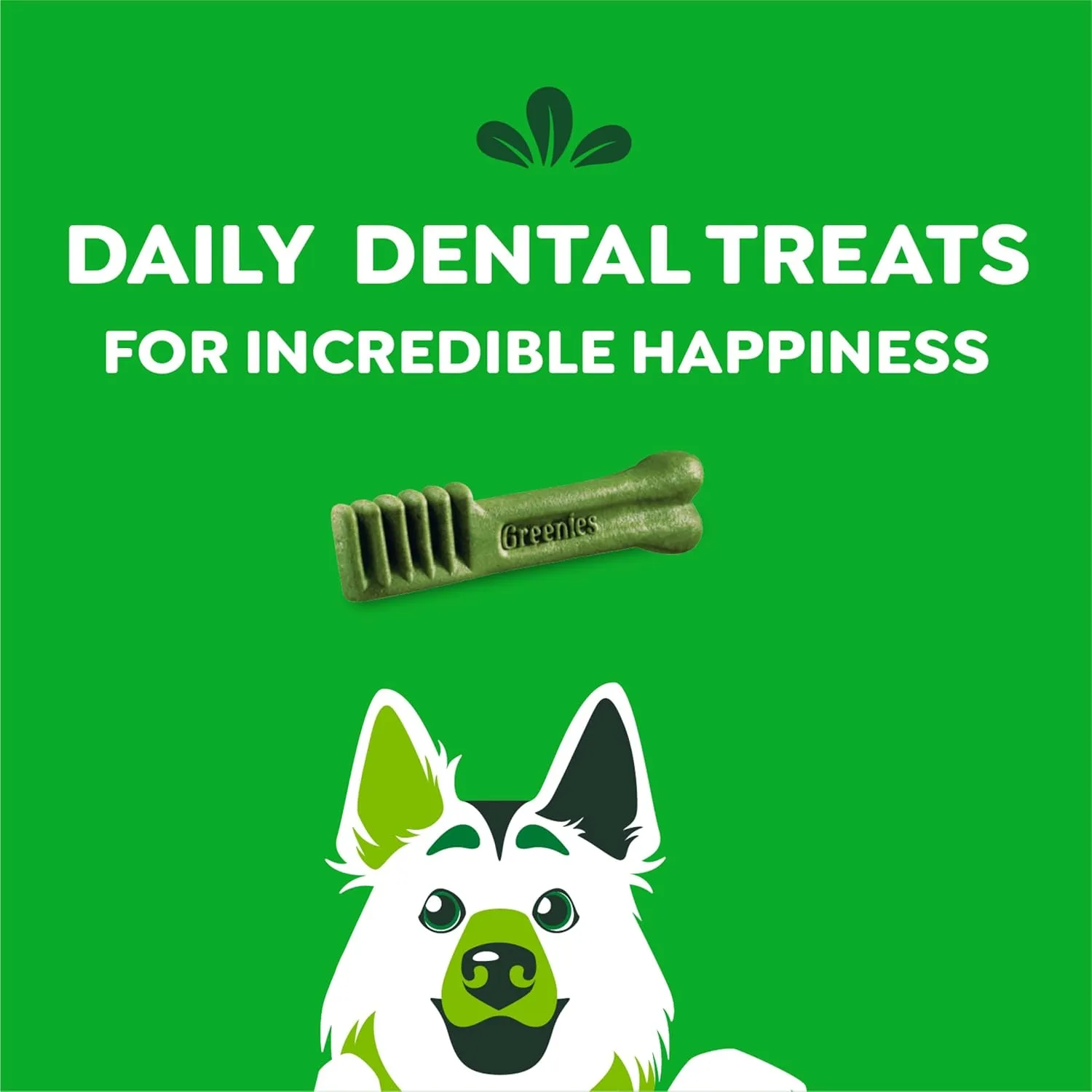 Greenies Original Large Natural Dental Care Dog Treats, 36 oz. Pack (24 Treats)