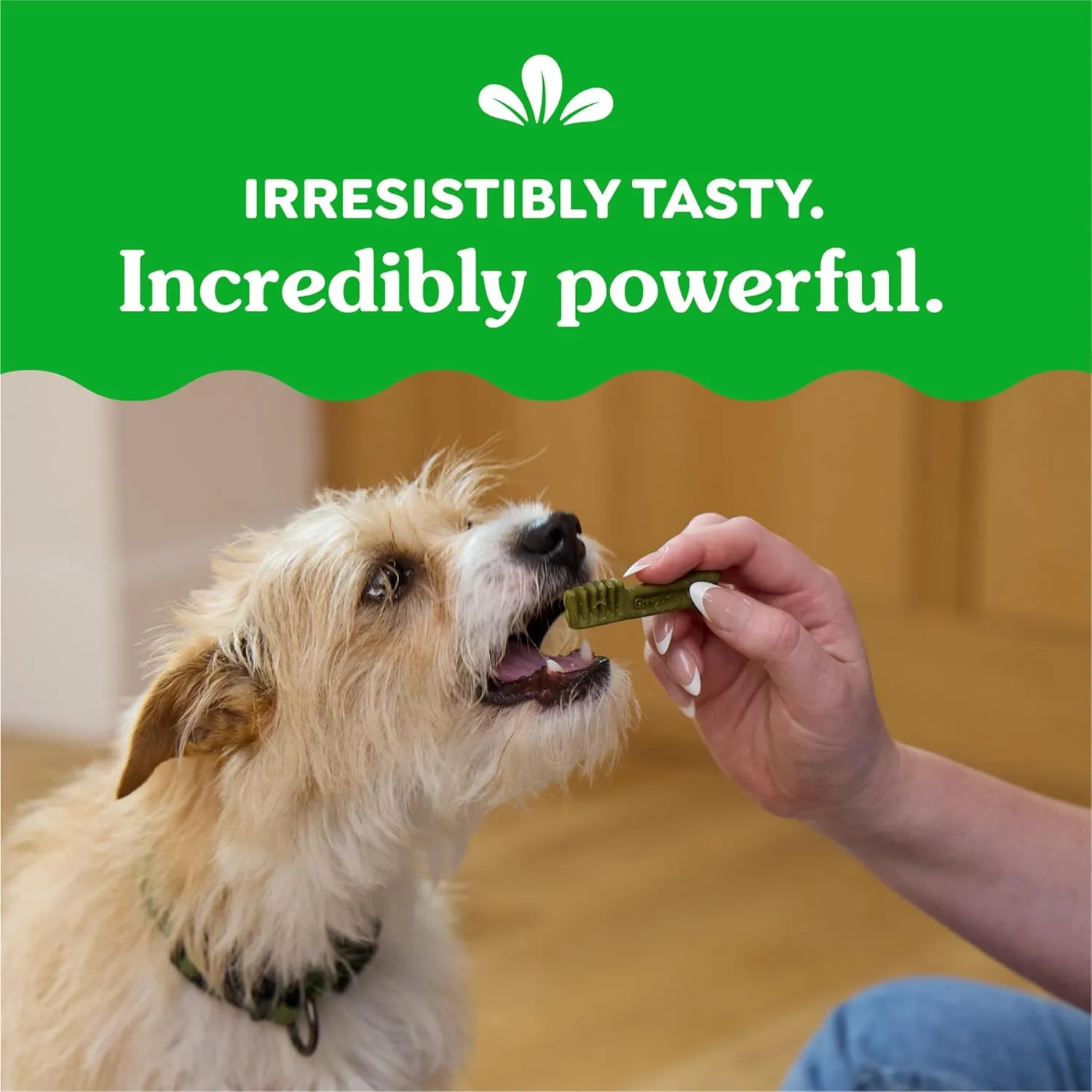 Greenies Original Teenie Natural Dental Care Dog Treats, 36 oz. Pack (130 Treats)