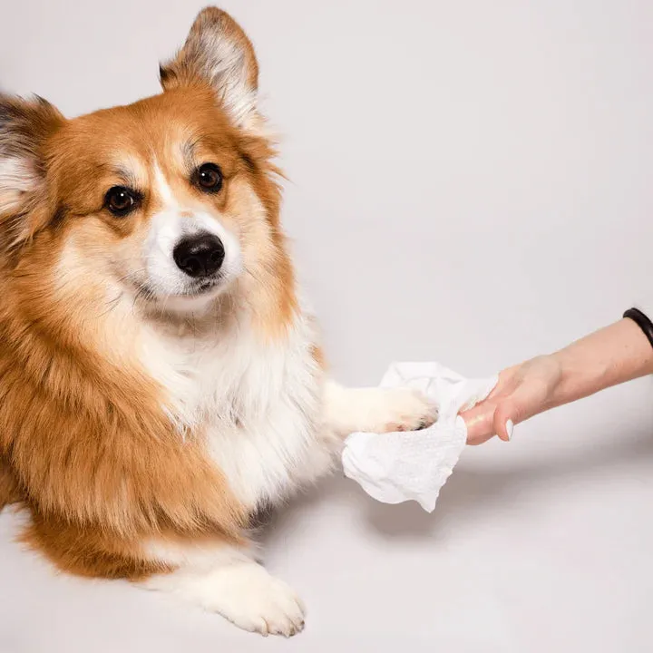 Grooming Wipes - 50 Count