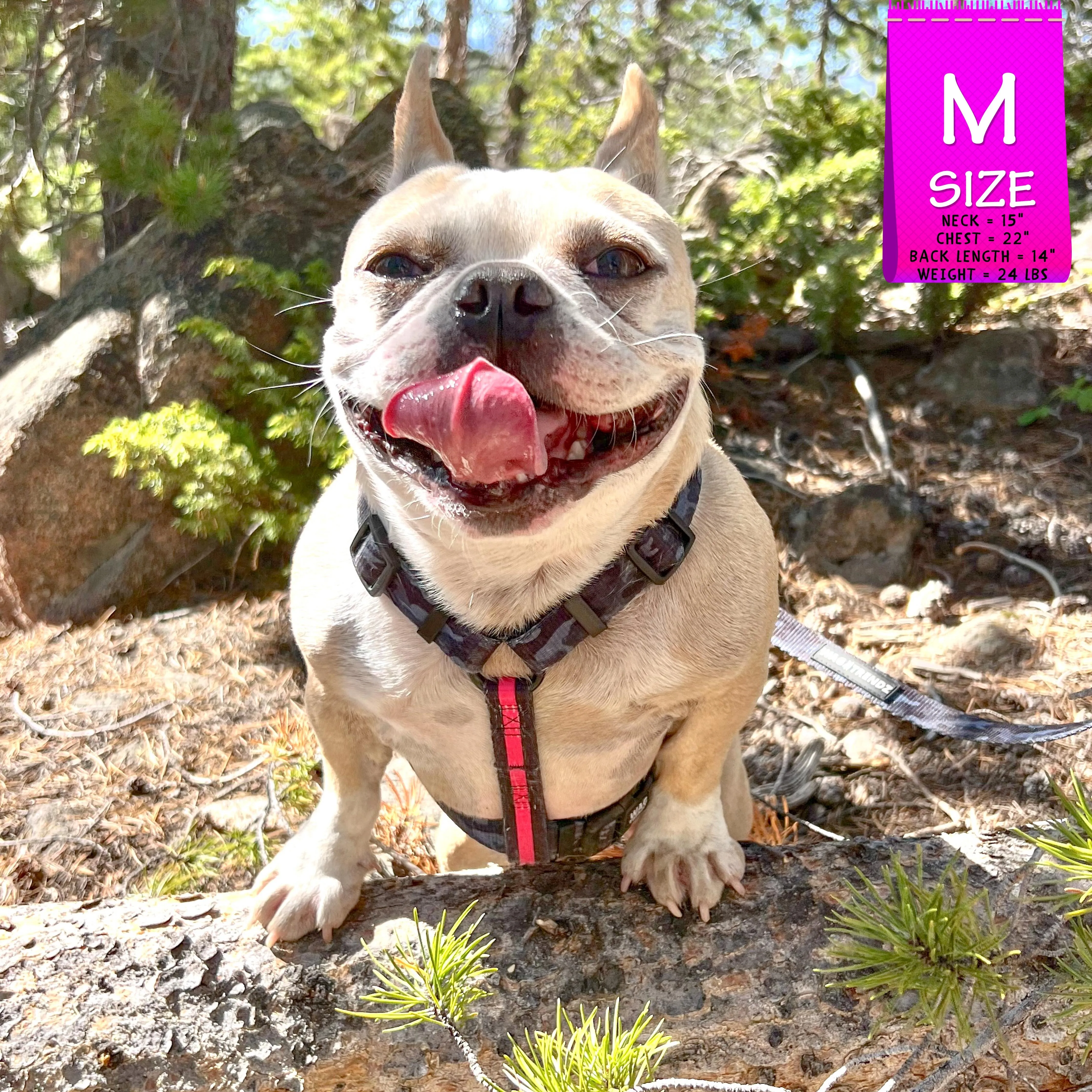H Dog Harness | Pink Camo Chic (SHēk)