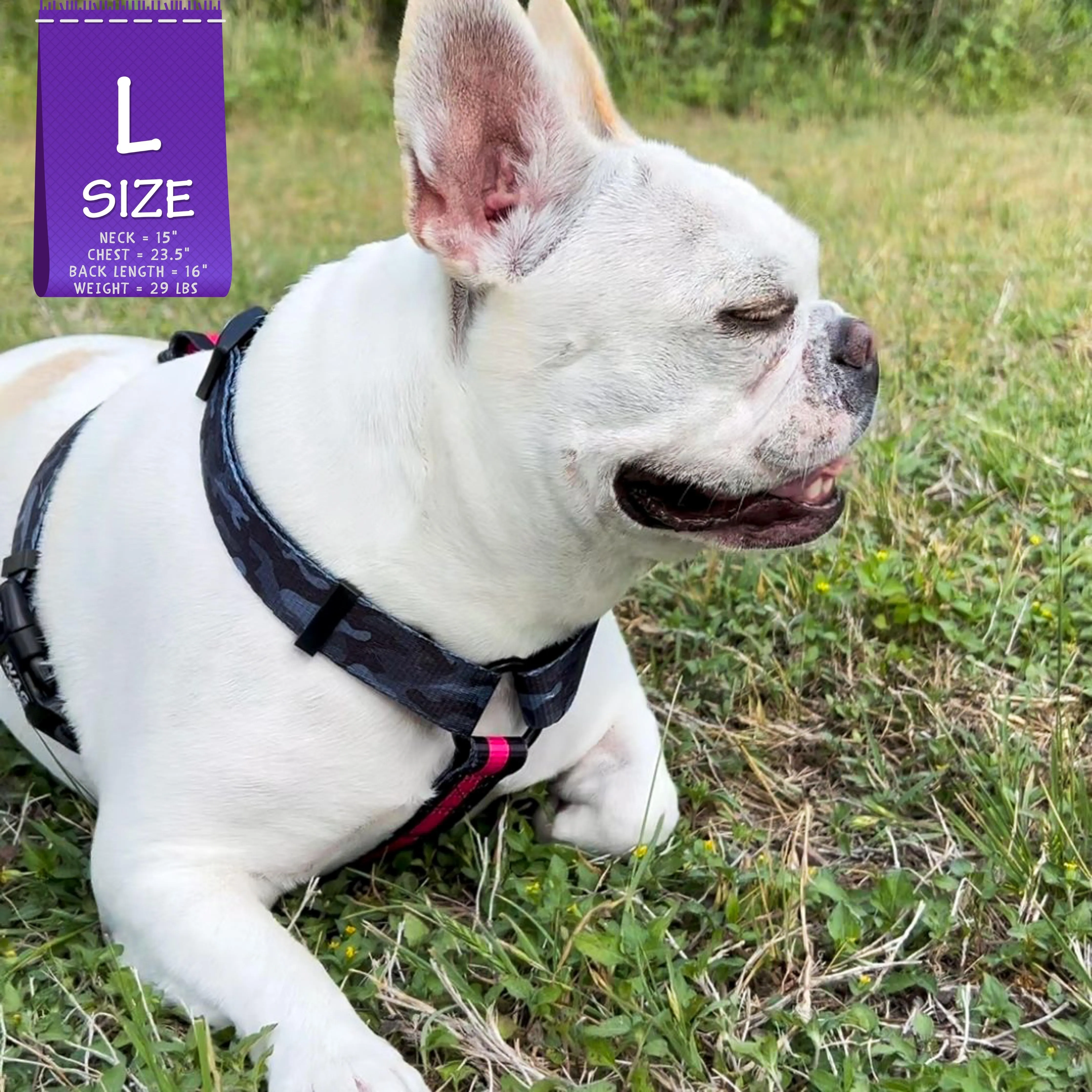 H Dog Harness | Pink Camo Chic (SHēk)
