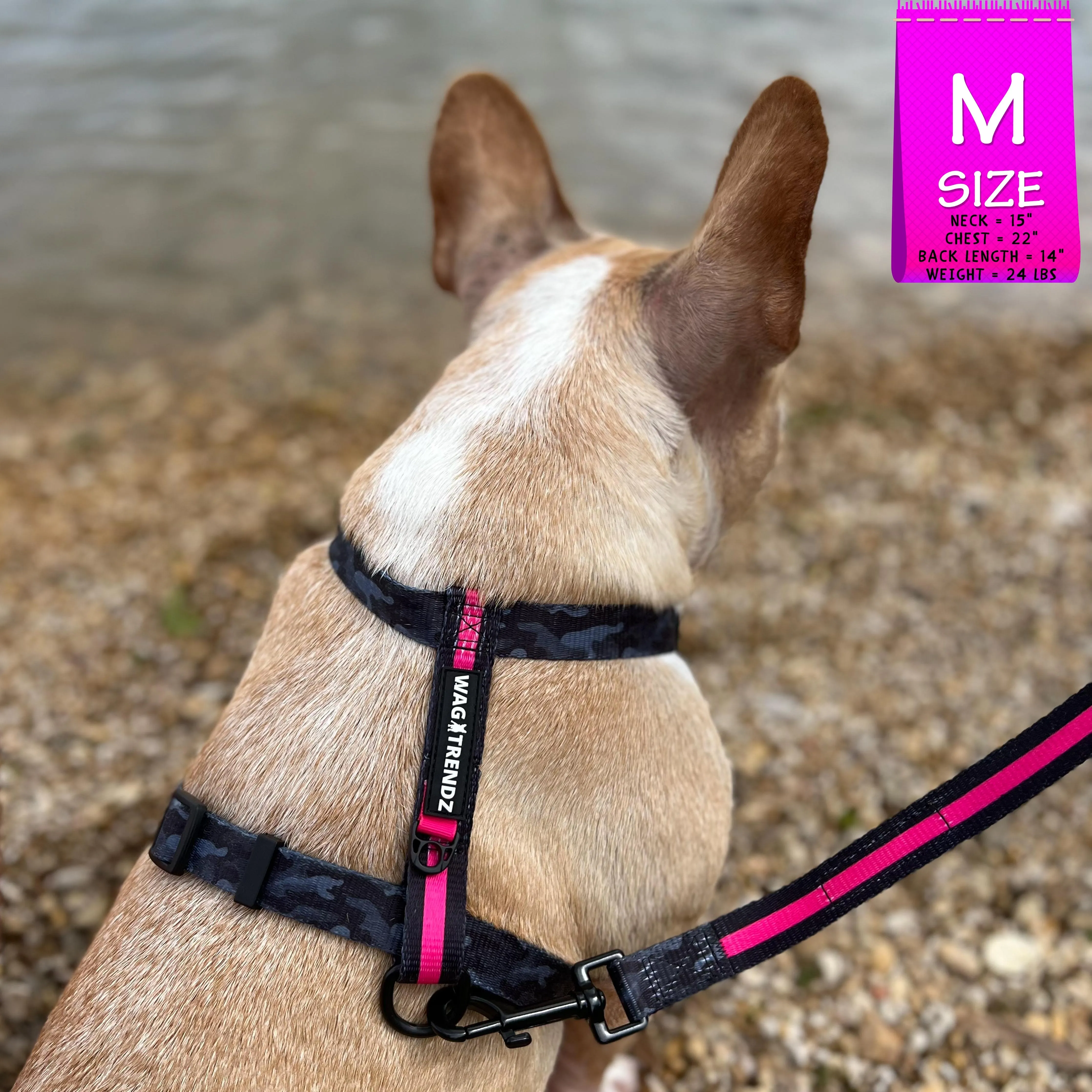 H Dog Harness | Pink Camo Chic (SHēk)