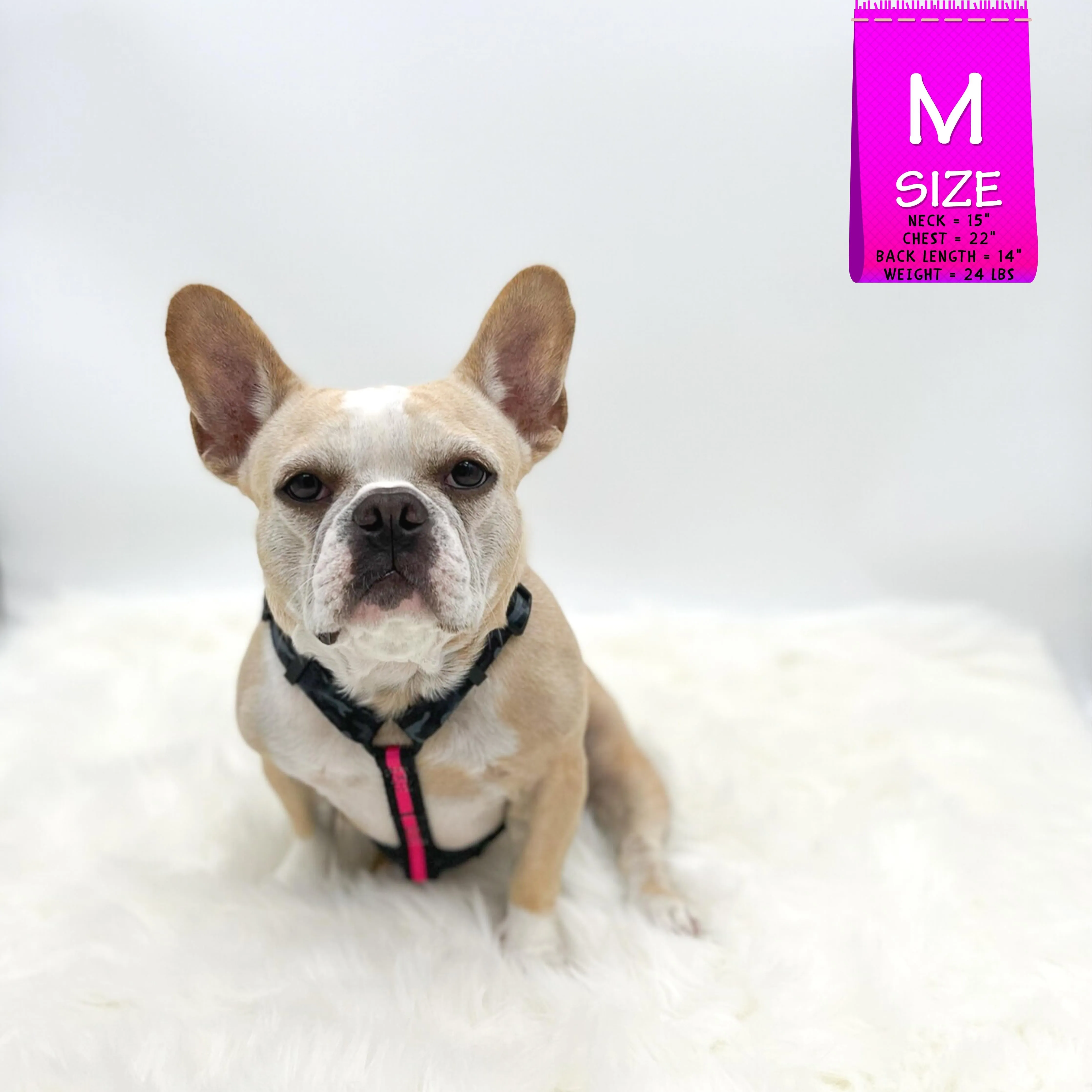 H Dog Harness | Pink Camo Chic (SHēk)