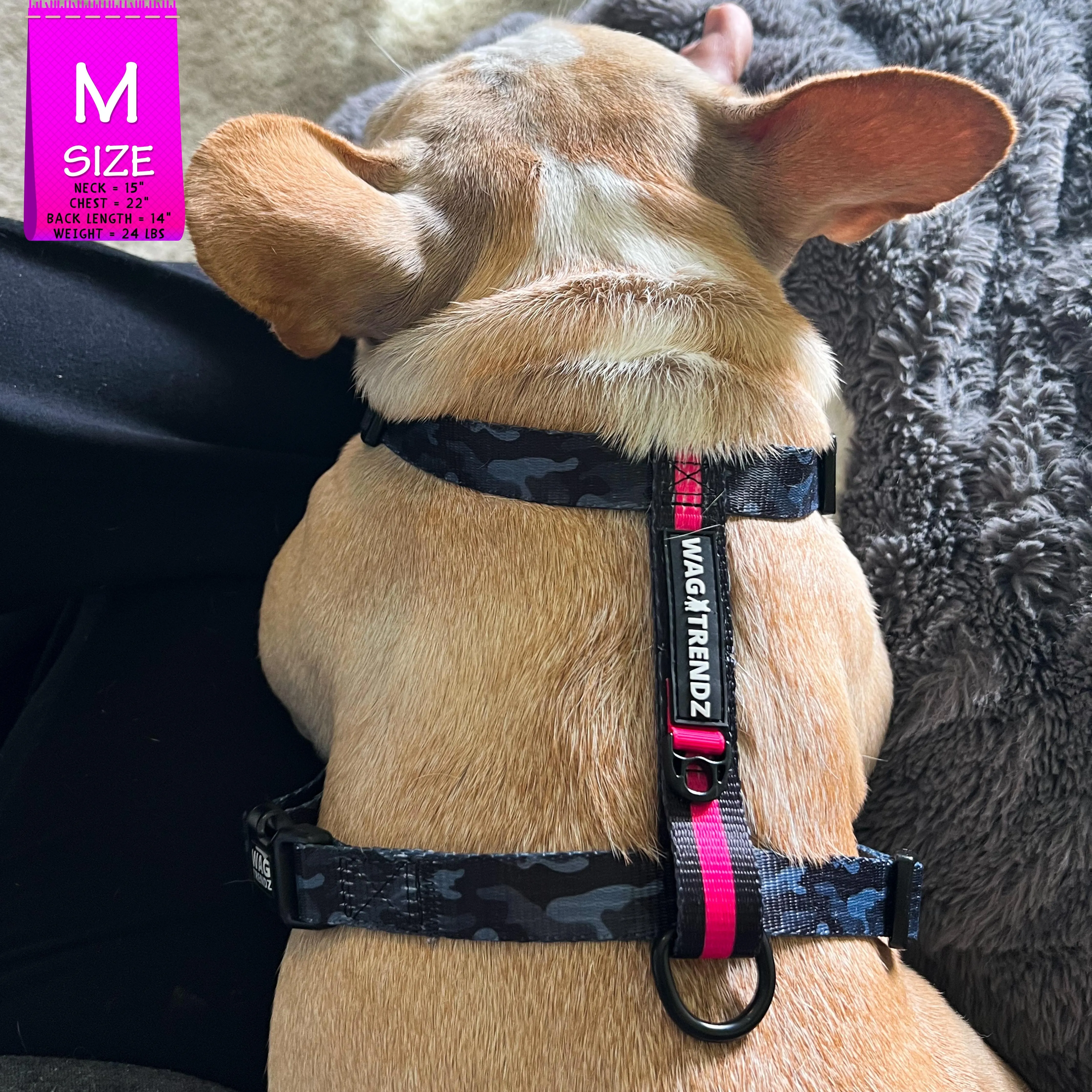 H Dog Harness | Pink Camo Chic (SHēk)