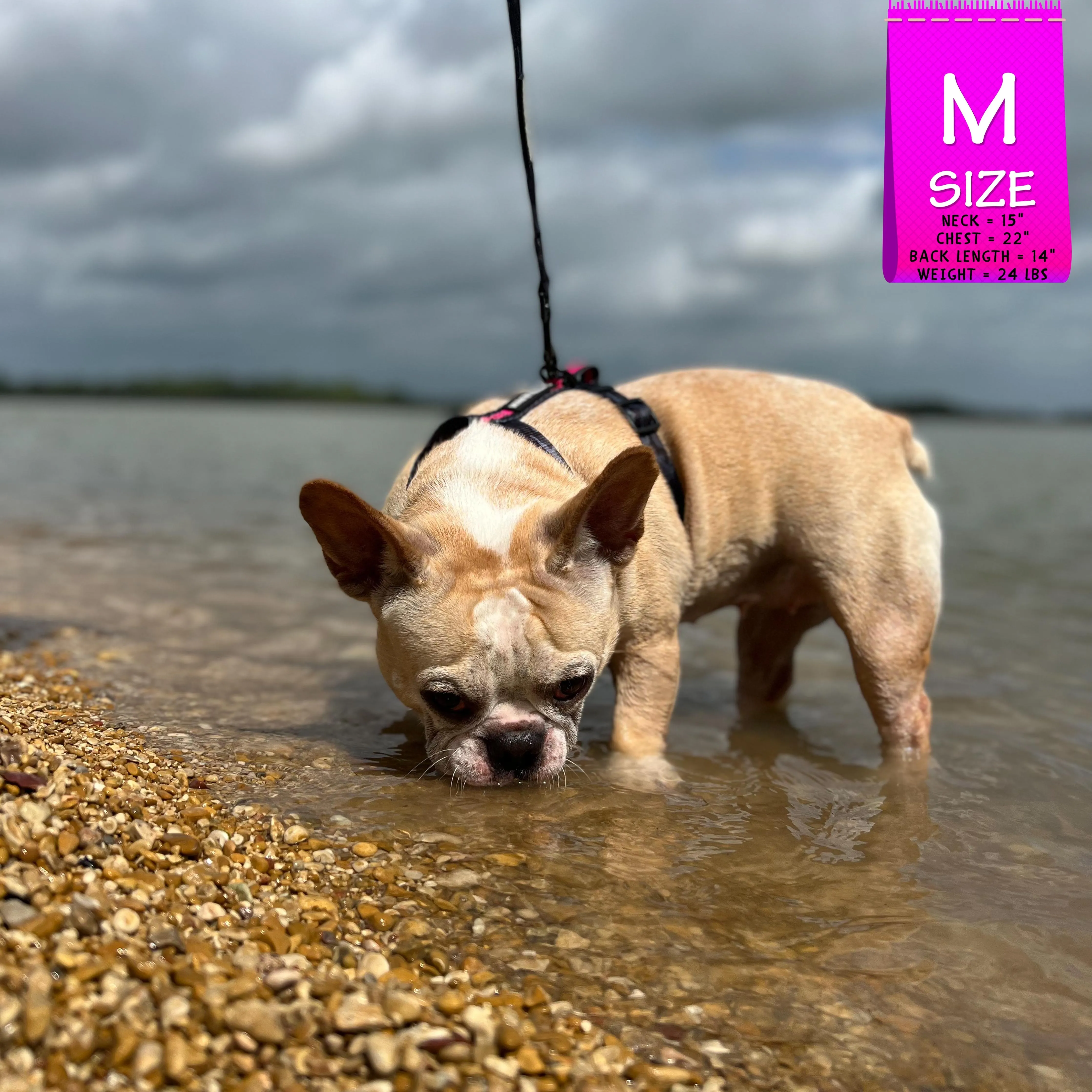 H Dog Harness | Pink Camo Chic (SHēk)