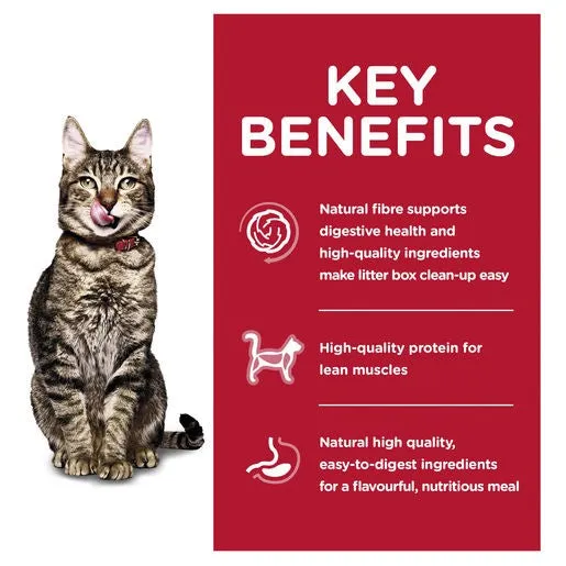 Hill's Science Diet Adult 7  Indoor Dry Cat Food