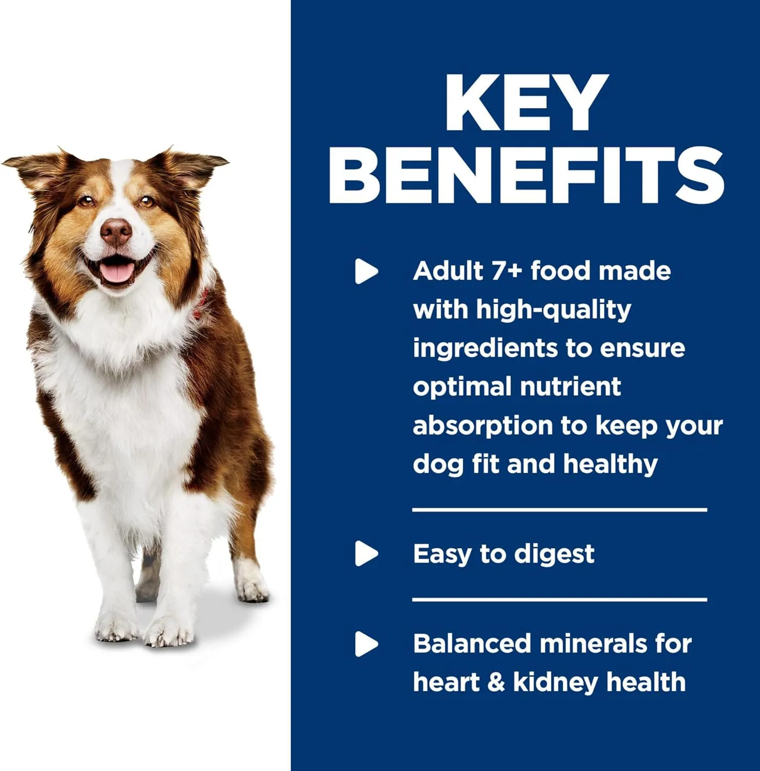 Hill's Science Diet Adult 7 , Senior Adult 7  Premium Nutrition, Wet Dog Food, Turkey & Barley Loaf, 13 oz Can, Case of 12