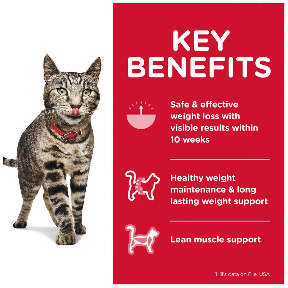 Hill's Science Diet Perfect Weight Adult Salmon Wet Food 85g