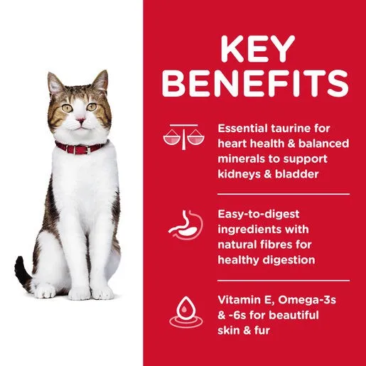 Hill's Science Diet Senior Adult 7  Dry Cat Food