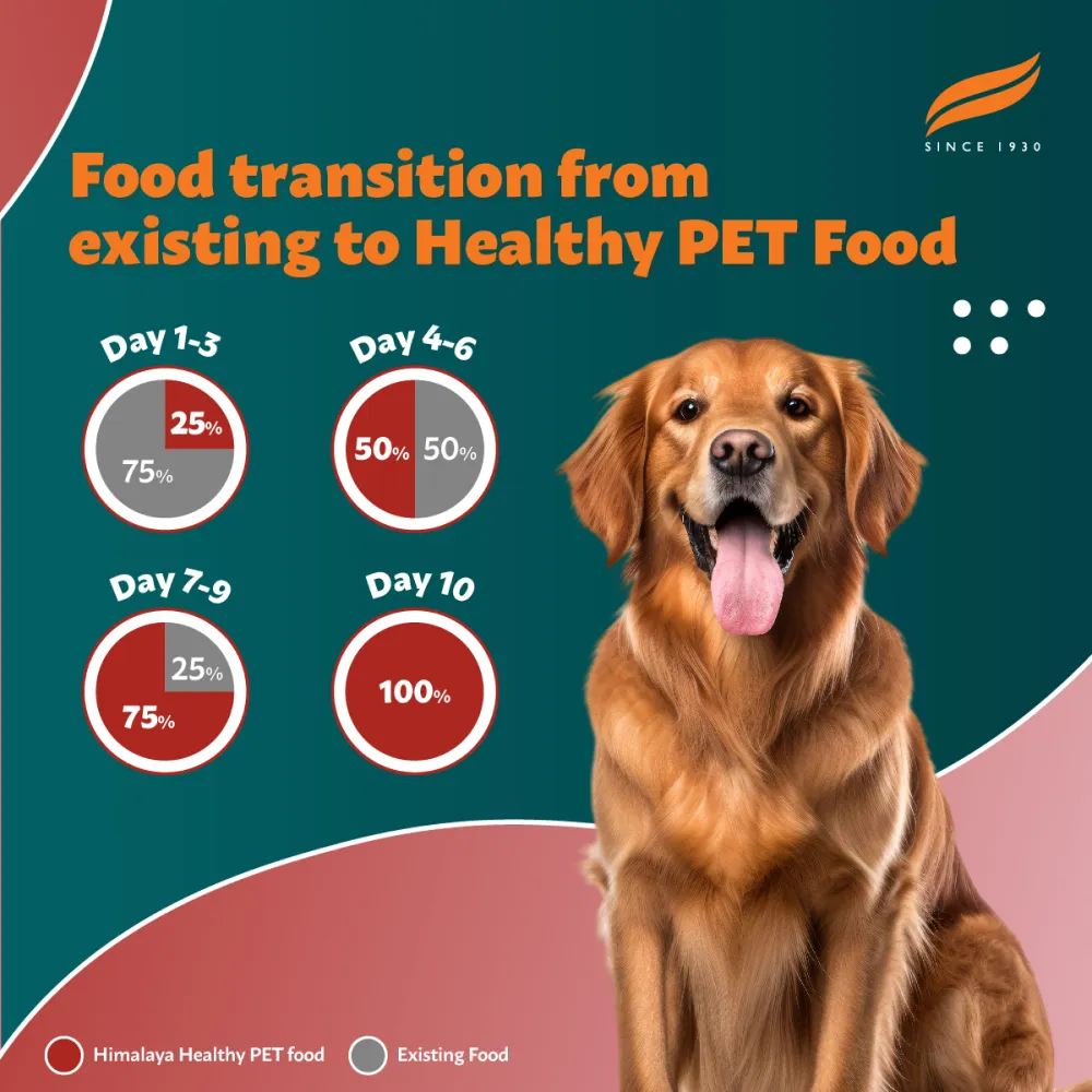 Himalaya Meat & Rice Healthy Pet Dry Food and Chicken Healthy Treats Adult Dog Combo