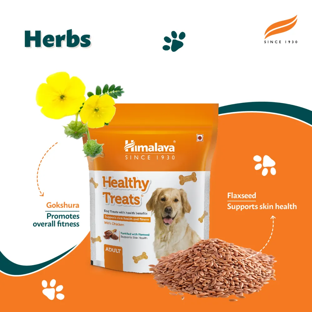 Himalaya Meat & Rice Healthy Pet Dry Food and Chicken Healthy Treats Adult Dog Combo