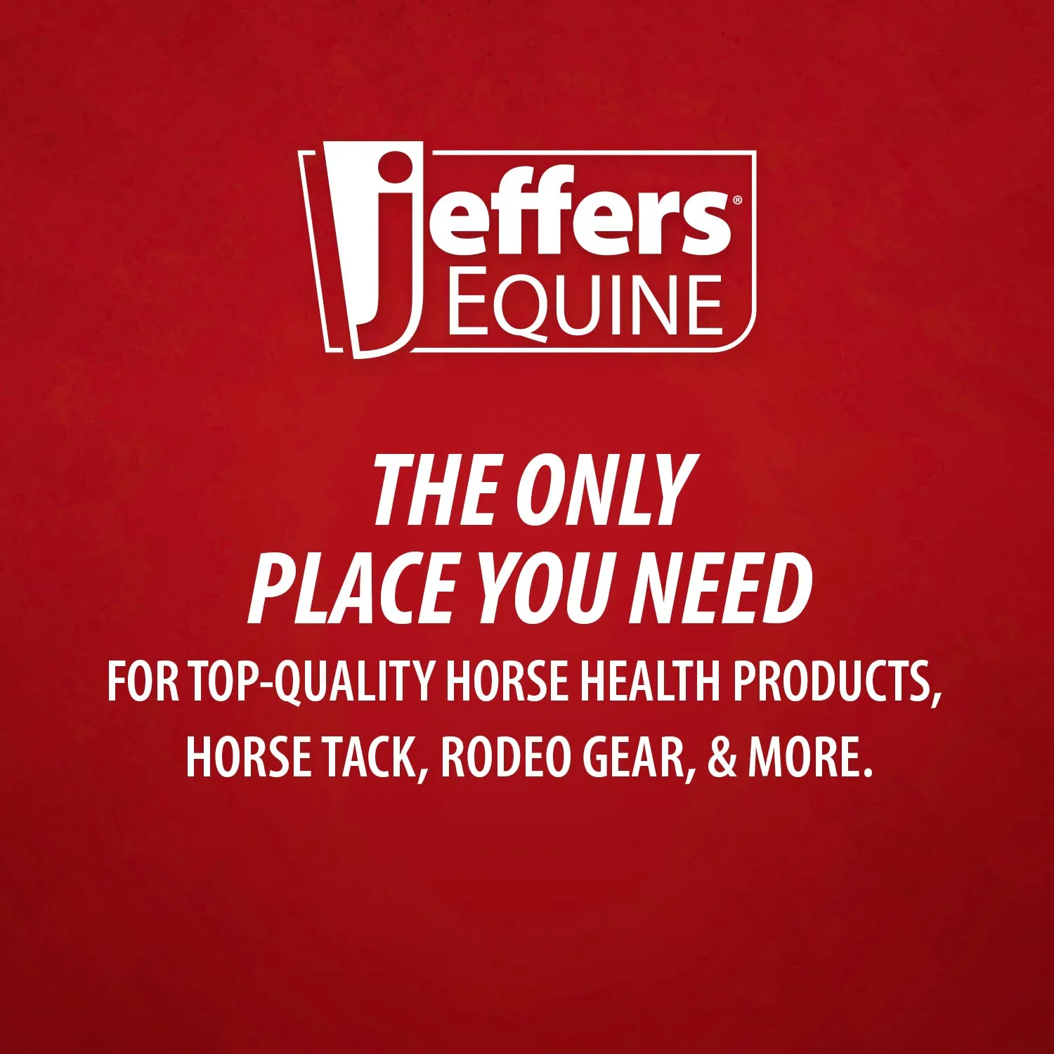 Jeffers Equine Show-Shine Coat Polish & Brightener for Horses