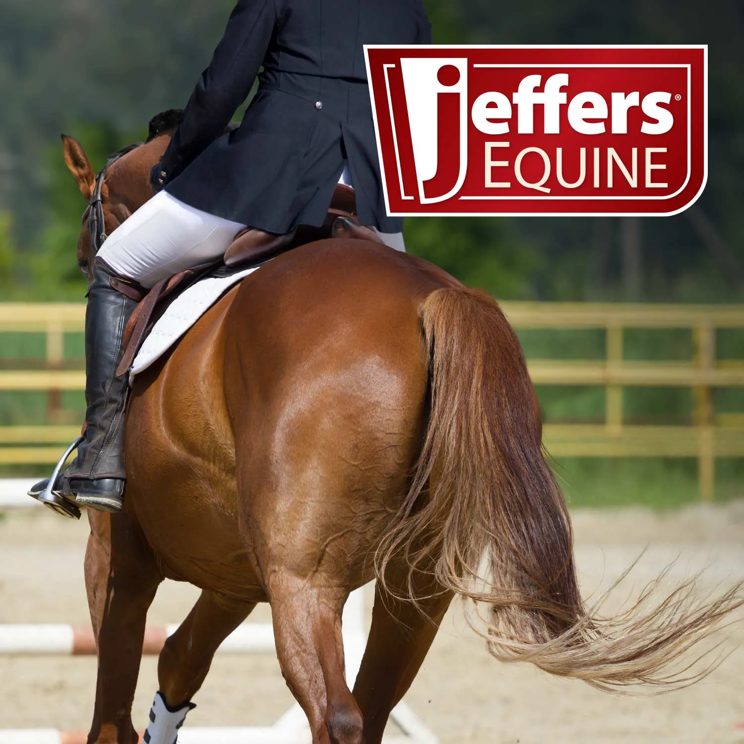 Jeffers Equine Show-Shine Coat Polish & Brightener for Horses