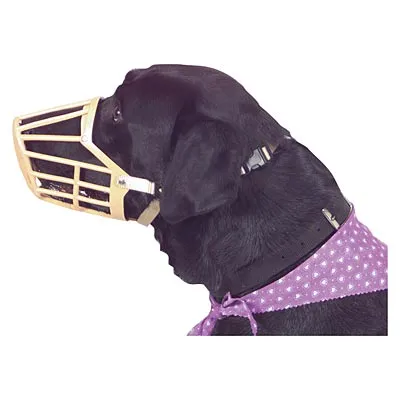 Jeffers Plastic Dog Muzzles w/ Nylon Web Adjustment Straps