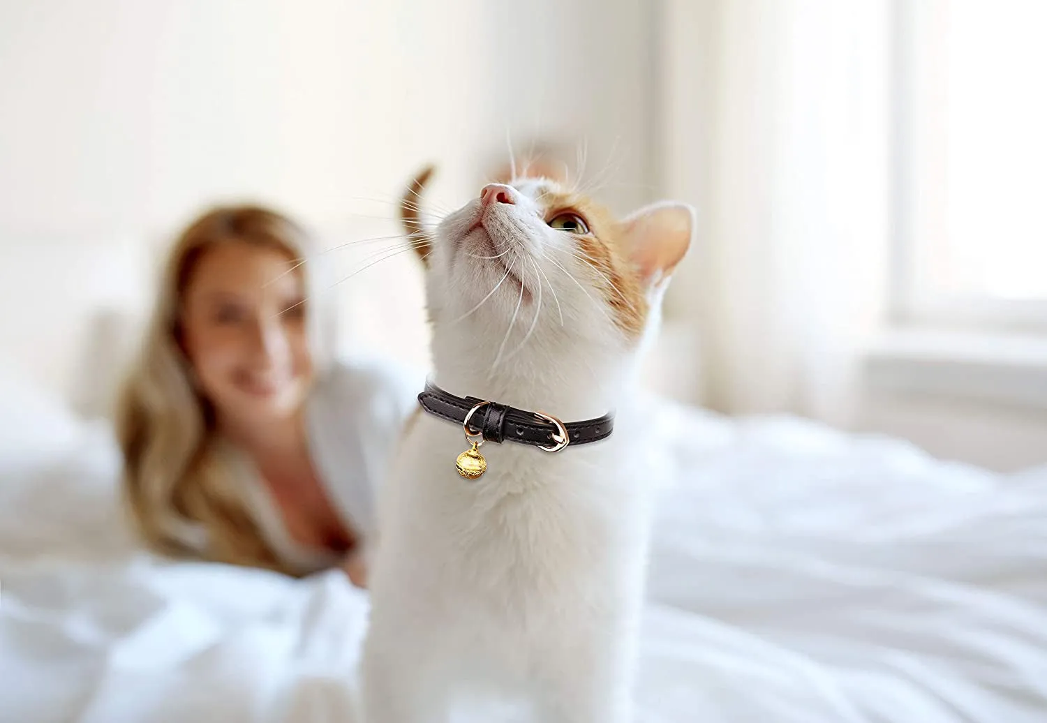 Leather Cat Collars with Bells