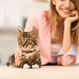 Leather Cat Collars with Bells