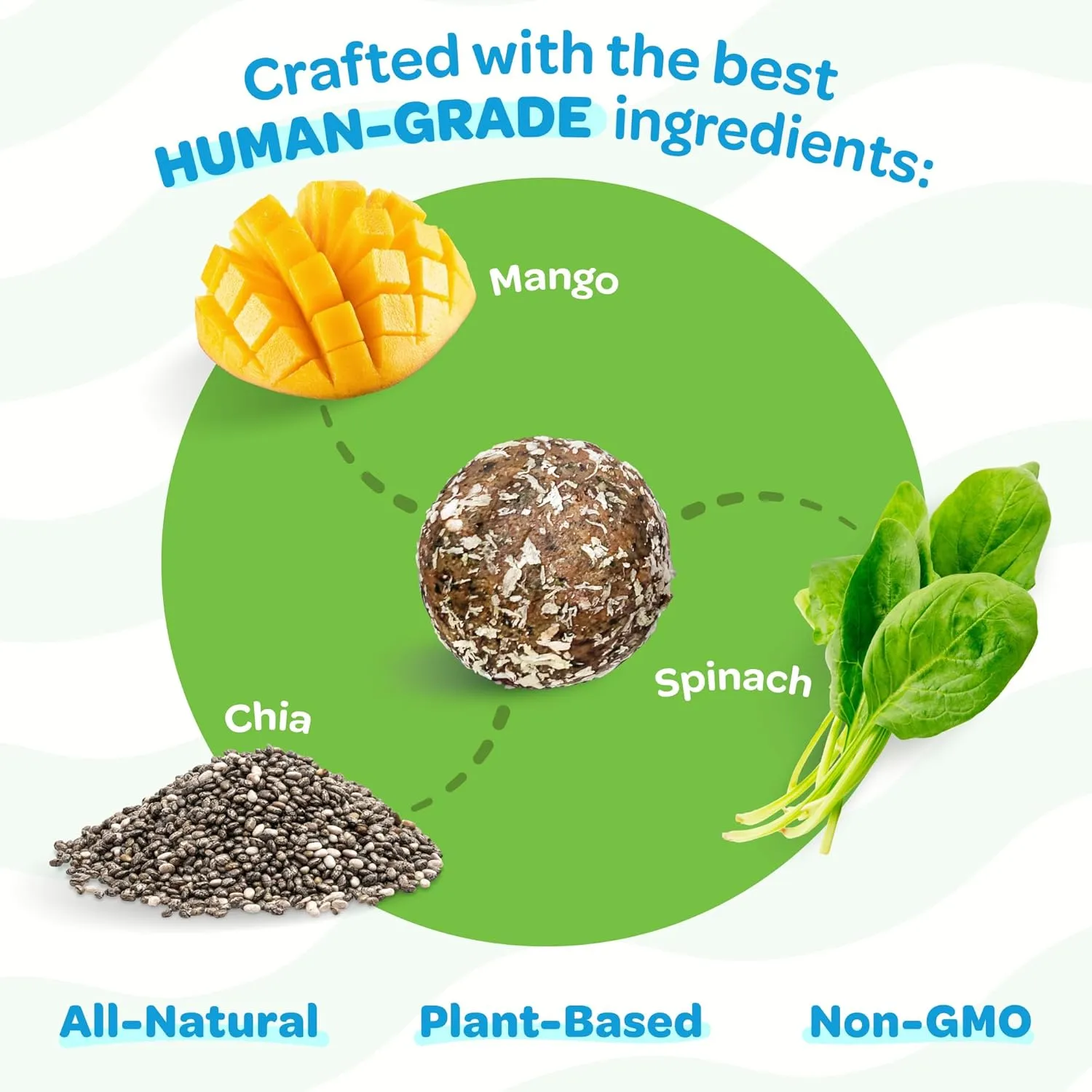 Mango, Spinach, & Chia Healthy Dog Treats - Healthy, Nutritious, All Natural Dog Treats - Vegan, Fiber-Rich, Plant-Based Snacks - All Breeds, Sizes, & Ages - Made in New Zealand - 18pk