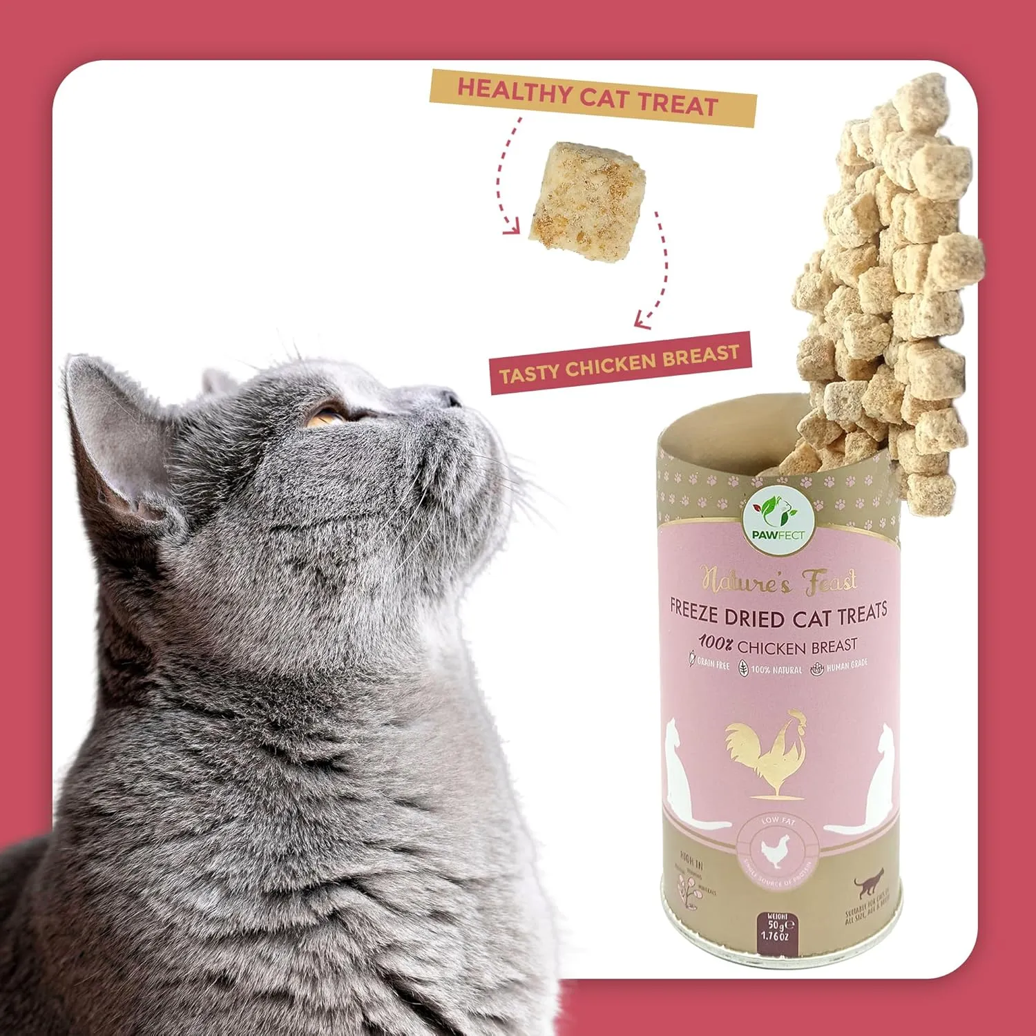 Nature's Feast Freeze Dried Cat Treats | 100% Natural Chicken Breast Treat | Single Ingredient | Training Treat | Food Topper for Cats (1.76oz)