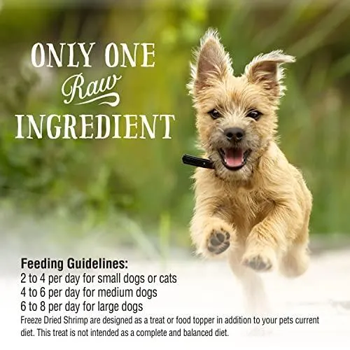 Northwest Naturals Freeze Dried Shrimp Freeze-Dried Cat and Dog Treats - 1 oz Bag