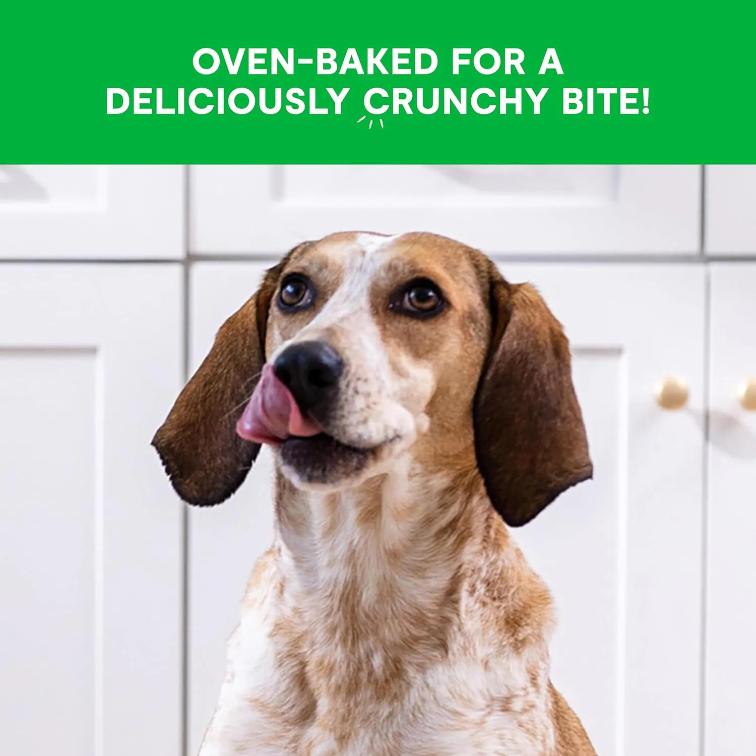 Open Farm Better Biscuits, Oven Baked Dog Treats with Probiotics, Peanut Butter & Banana Recipe, 8oz Pouch