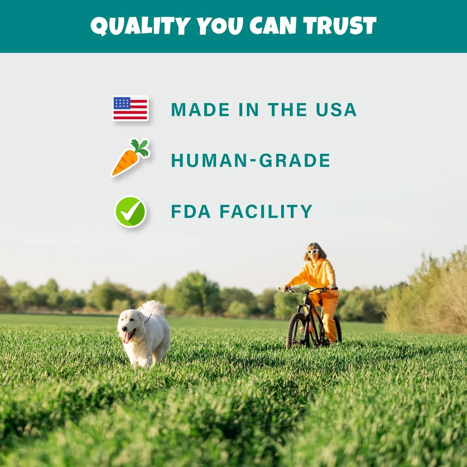 Plant-Based Pumpkin Dog Treats - Pumpkin, Carrot, Apple, and Blueberry Soft & Chewy Treats - Vegetarian, Vegan Dog Treats with Organic Ingredients - Low-Protein, Hypoallergenic, Gluten-Free