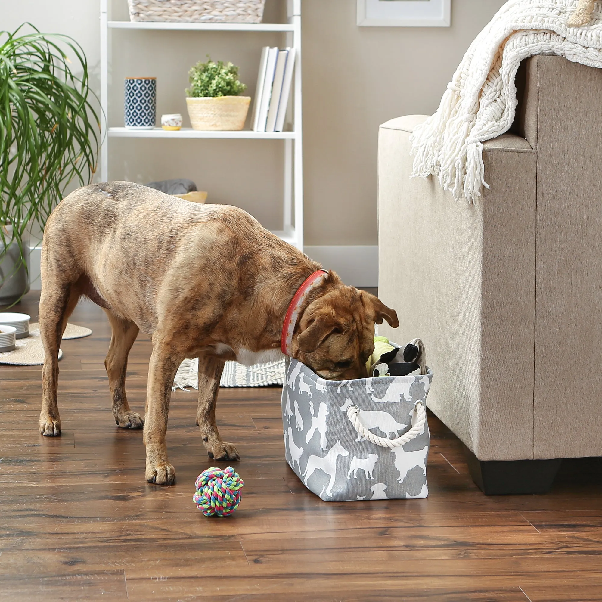 Polyester Pet Bin Dog Show Gray Rectangle Small 14X8X9