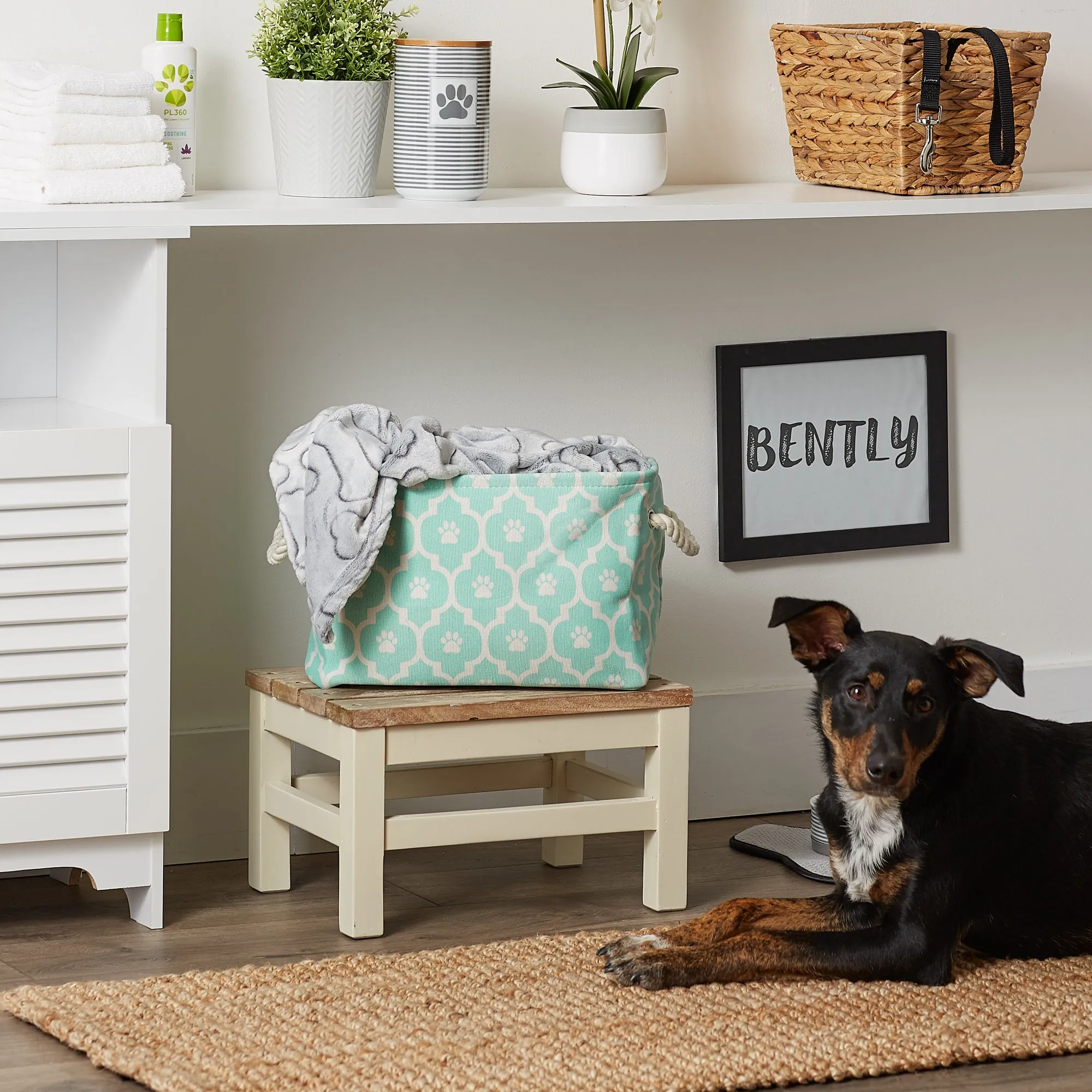 Polyester Pet Bin Lattice Paw Aqua Rectangle Small 14X8X9