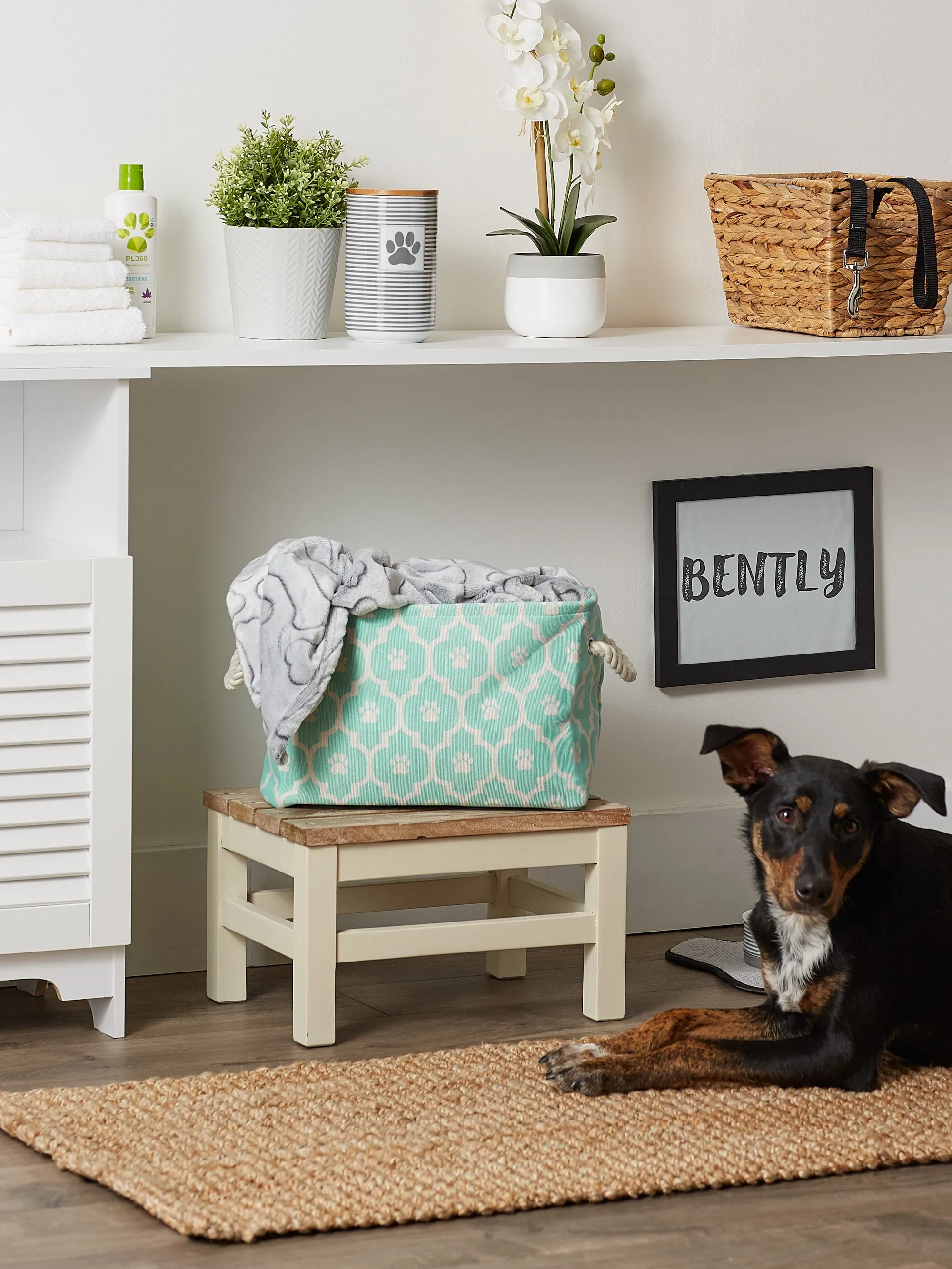 Polyester Pet Bin Lattice Paw Aqua Rectangle Small 14X8X9