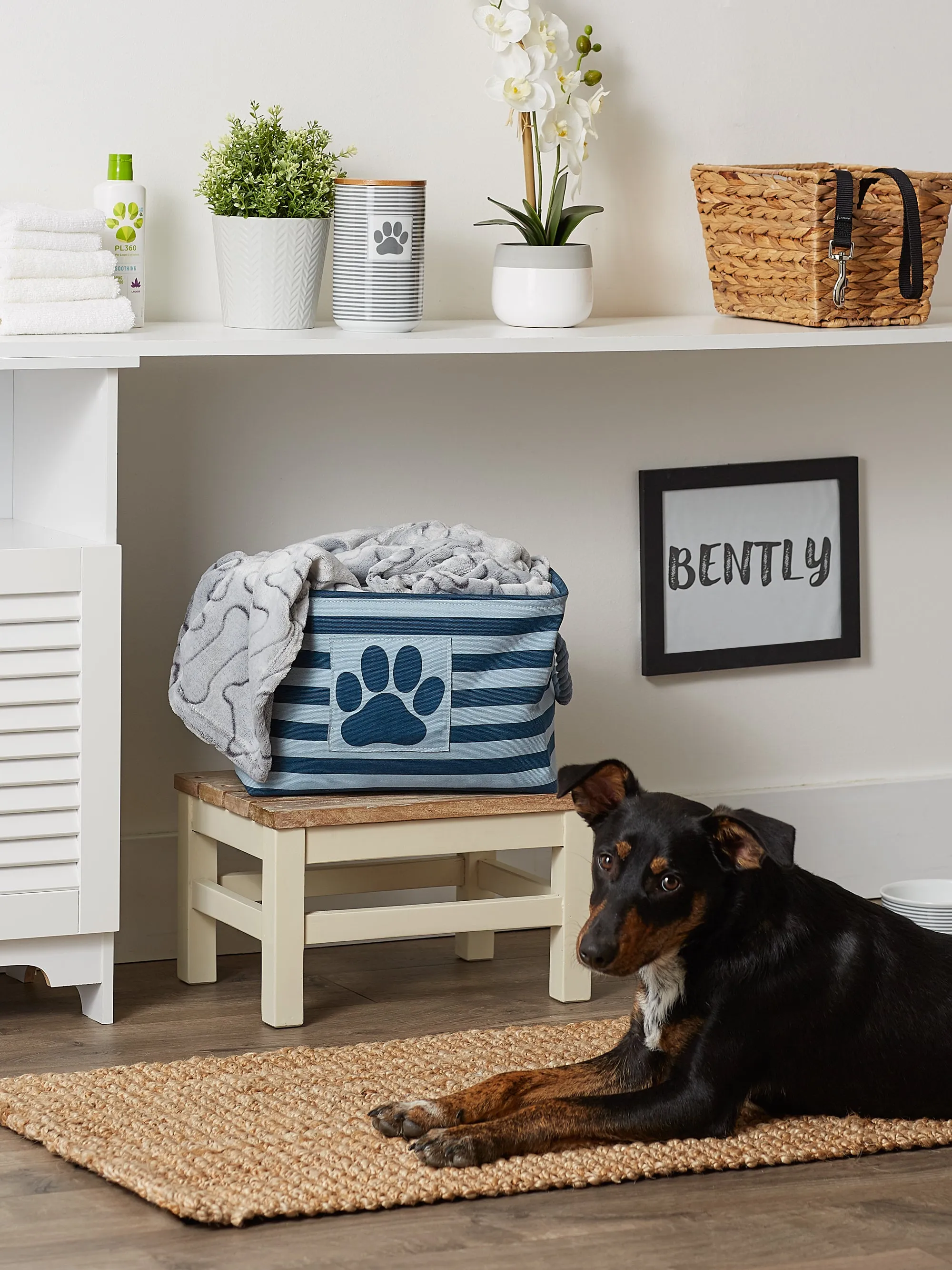 Polyester Pet Bin Stripe With Paw Patch Dark Navy Rectangle Small 14X8X9