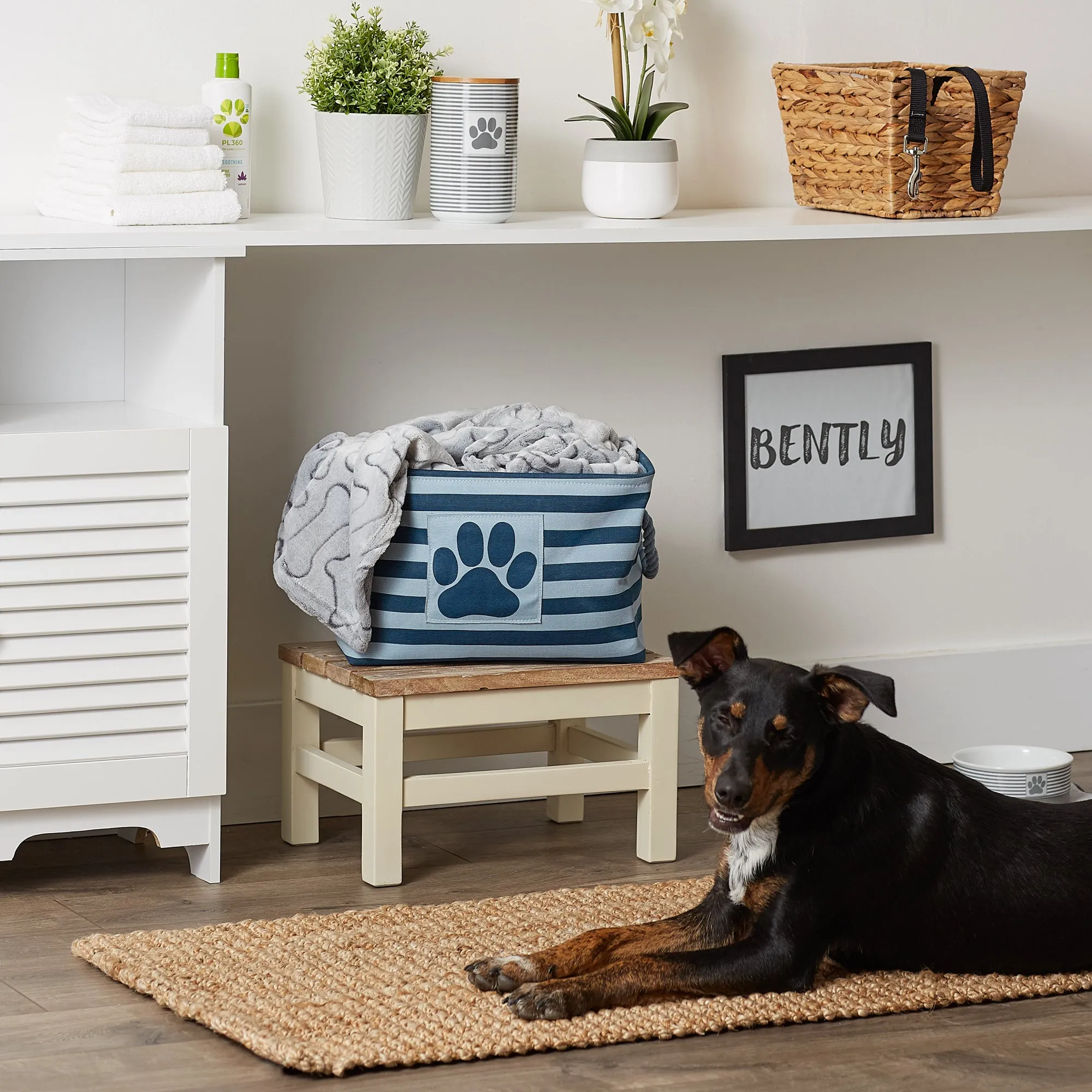 Polyester Pet Bin Stripe With Paw Patch Dark Navy Rectangle Small 14X8X9