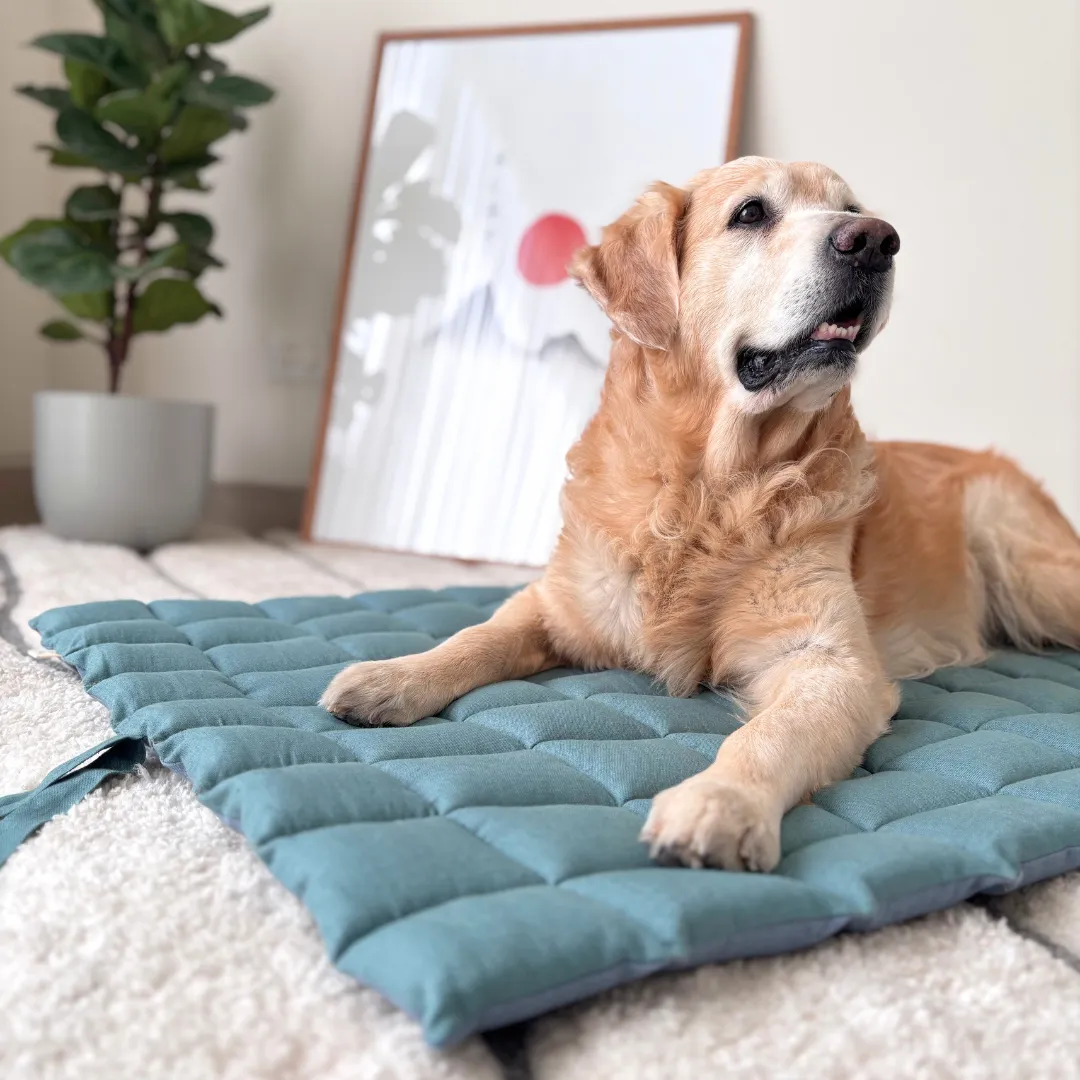 PoochMate Blue & Green Linen Quilted Dog Mat