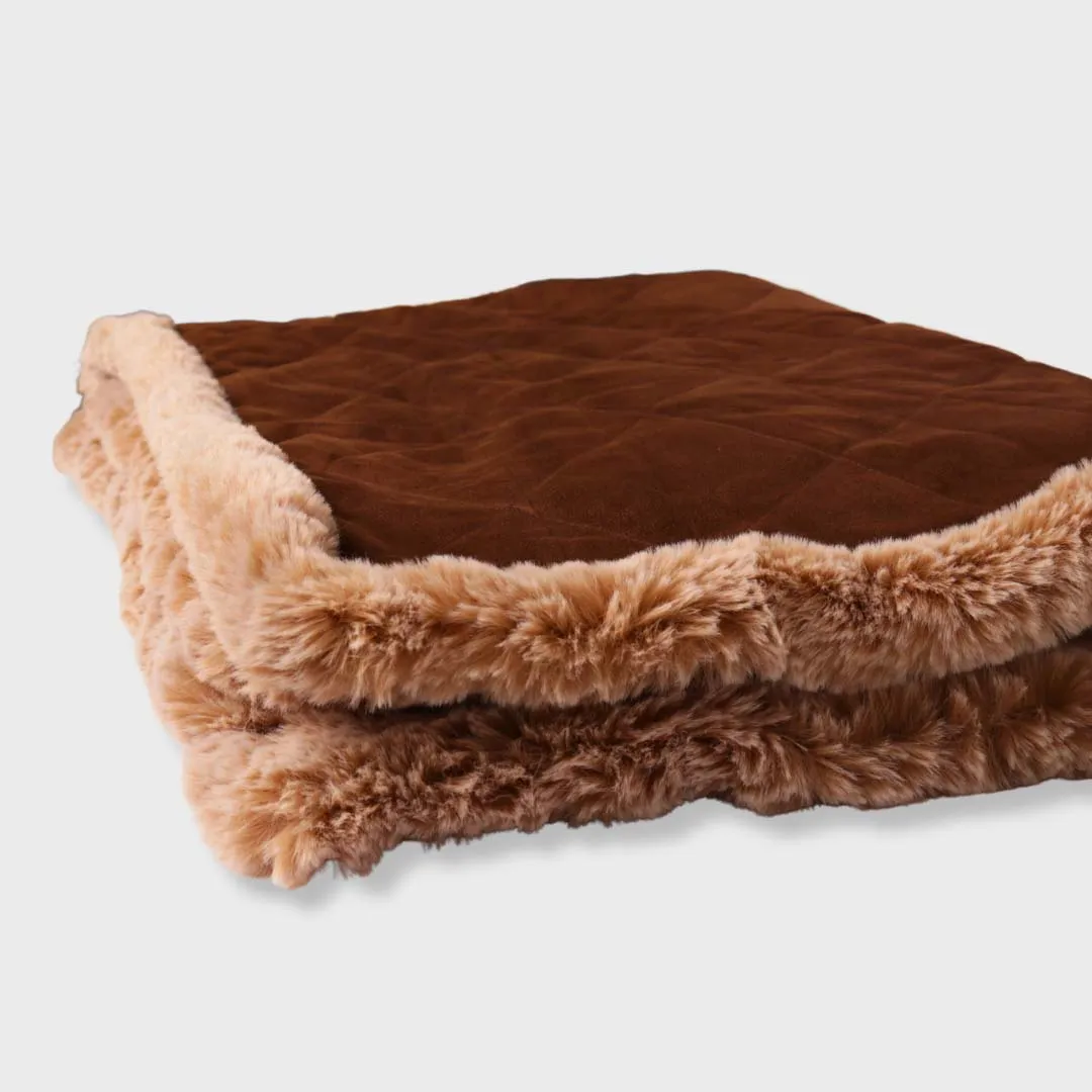 Premium Ultra Soft & Warm Pet Blanket