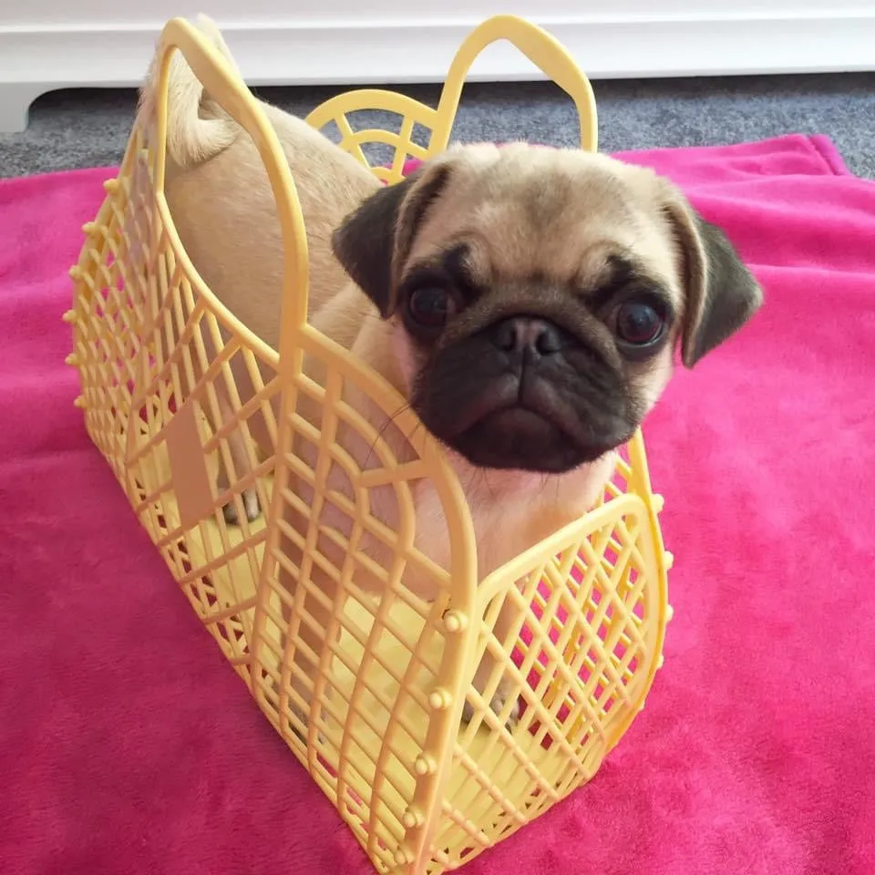 Retro Basket Small