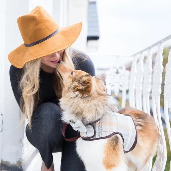 Sand Sheltie Luxury Dog Harness