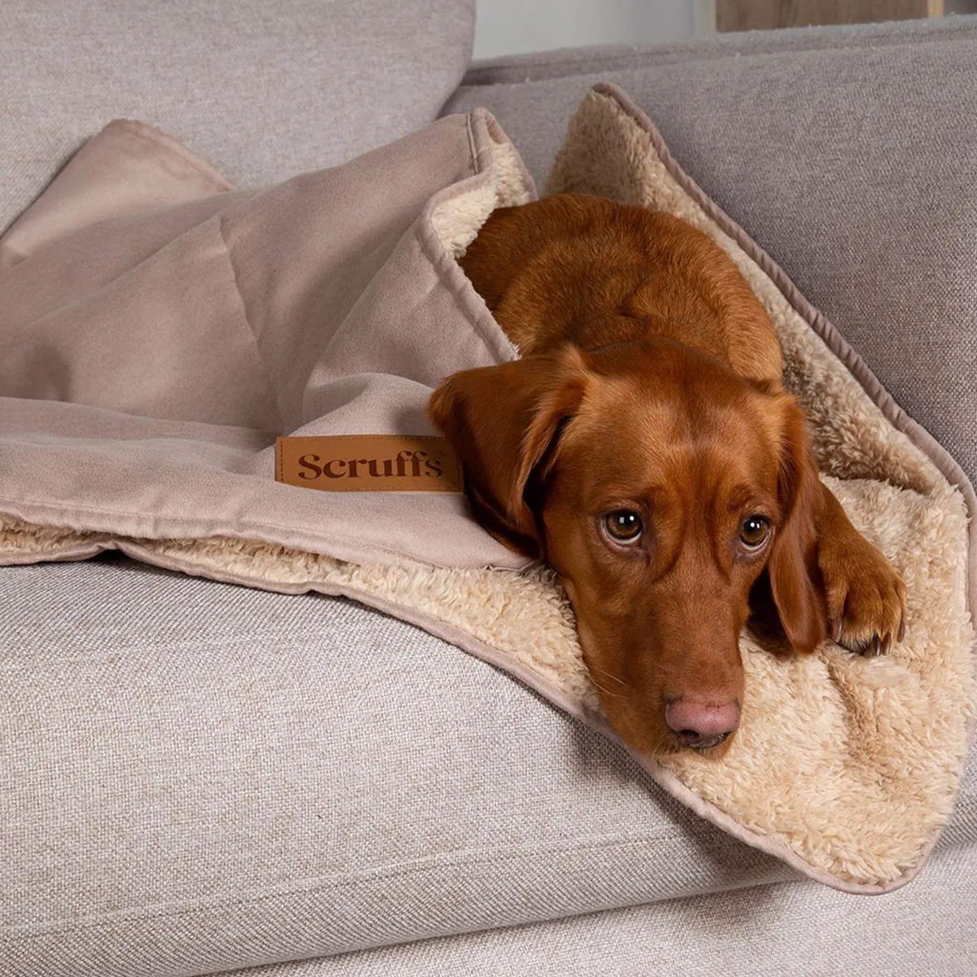 Scruffs Snuggle Blanket - Desert Sand