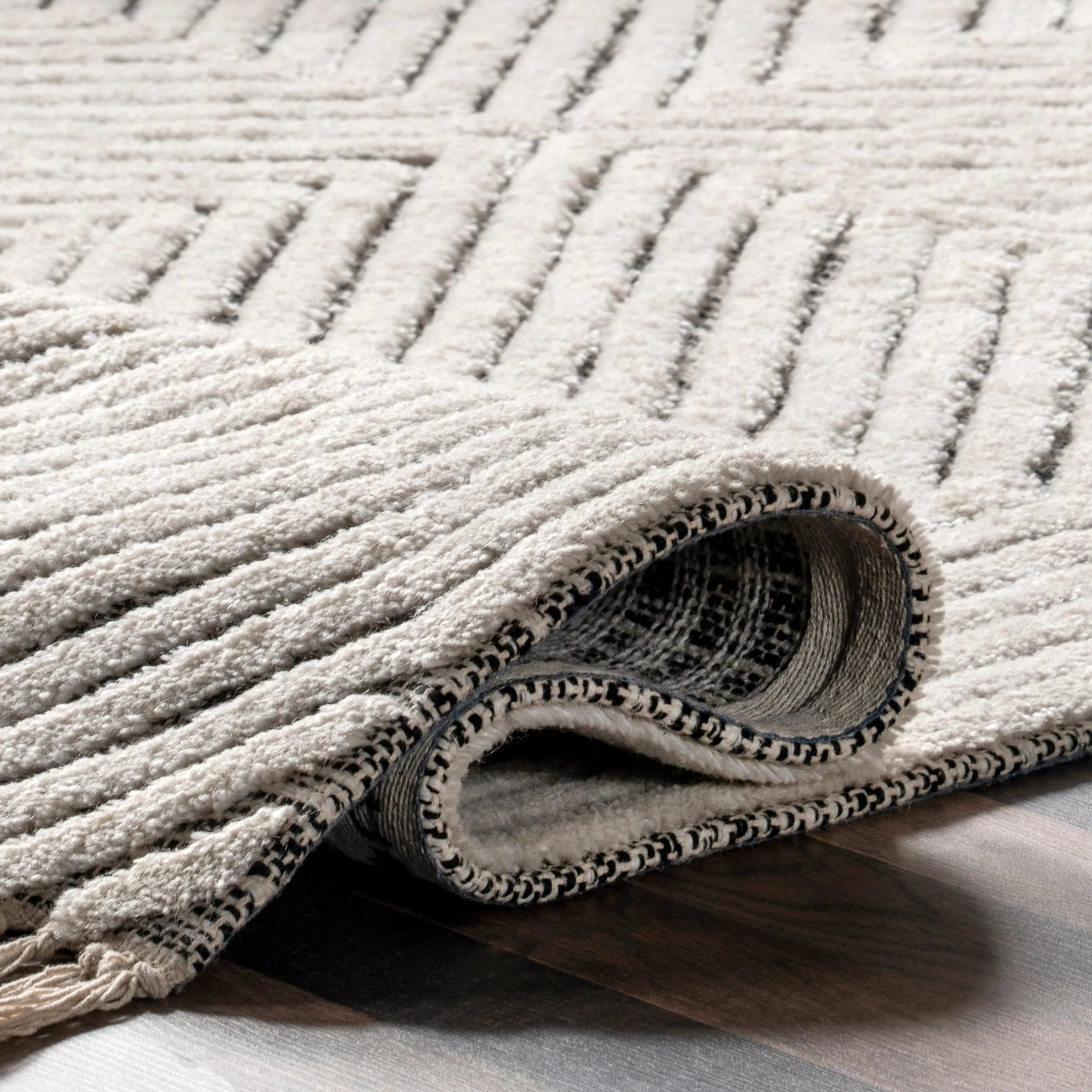 Sherrell Modern High/Low Tassel Area Rug