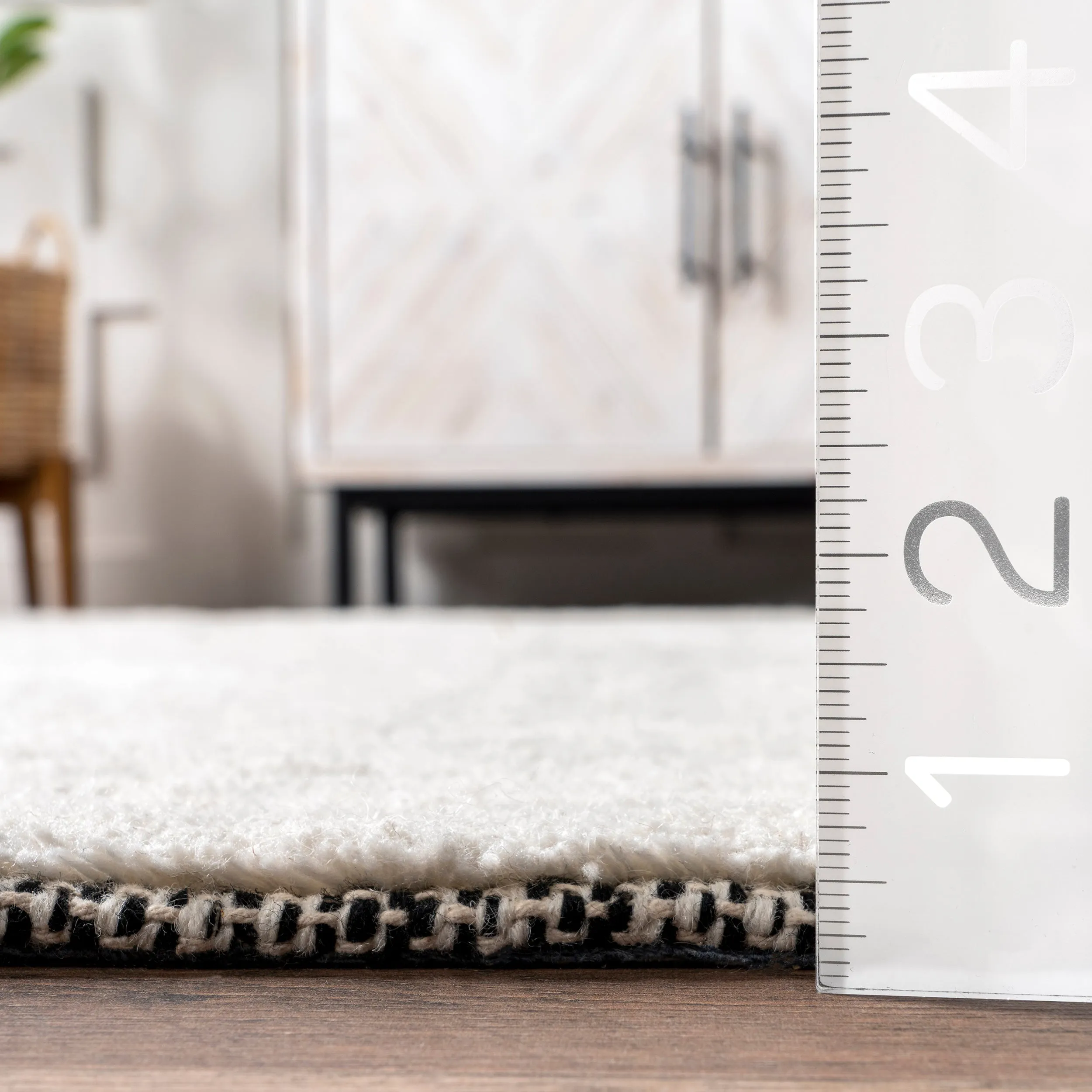 Sherrell Modern High/Low Tassel Area Rug