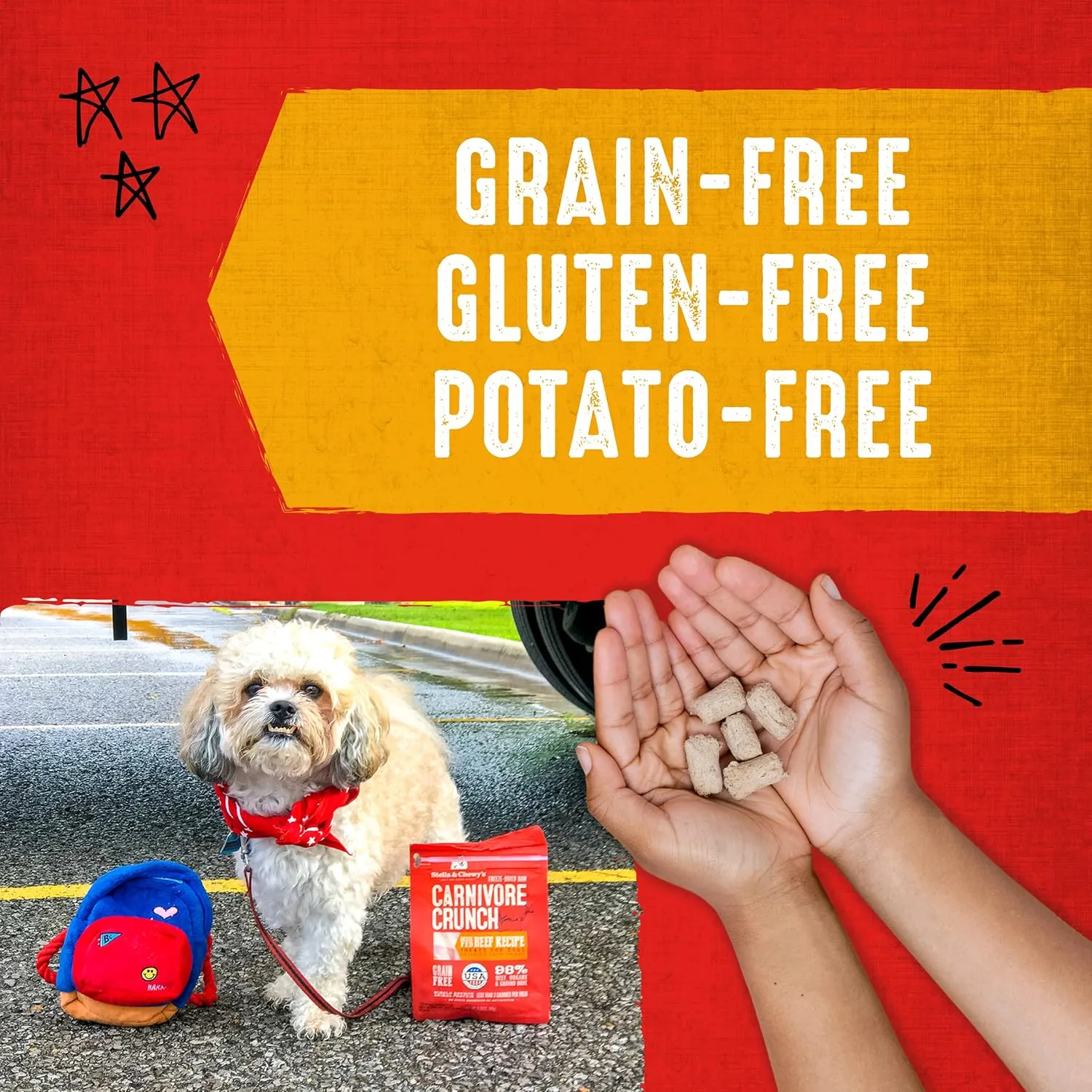 Stella & Chewy's Freeze-Dried Raw Carnivore Crunch Cage-Free Chicken Recipe Dog Treats  3.25 oz. Bag