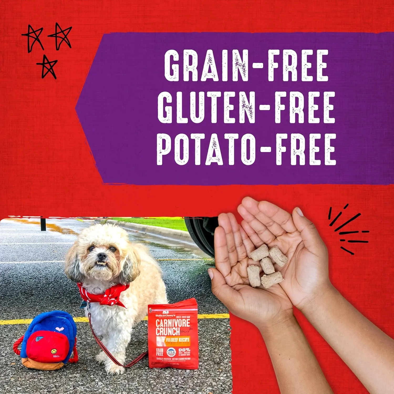 Stella & Chewy's Freeze-Dried Raw Carnivore Crunch Cage-Free Turkey Recipe Dog Treats  3.25 oz. Bag