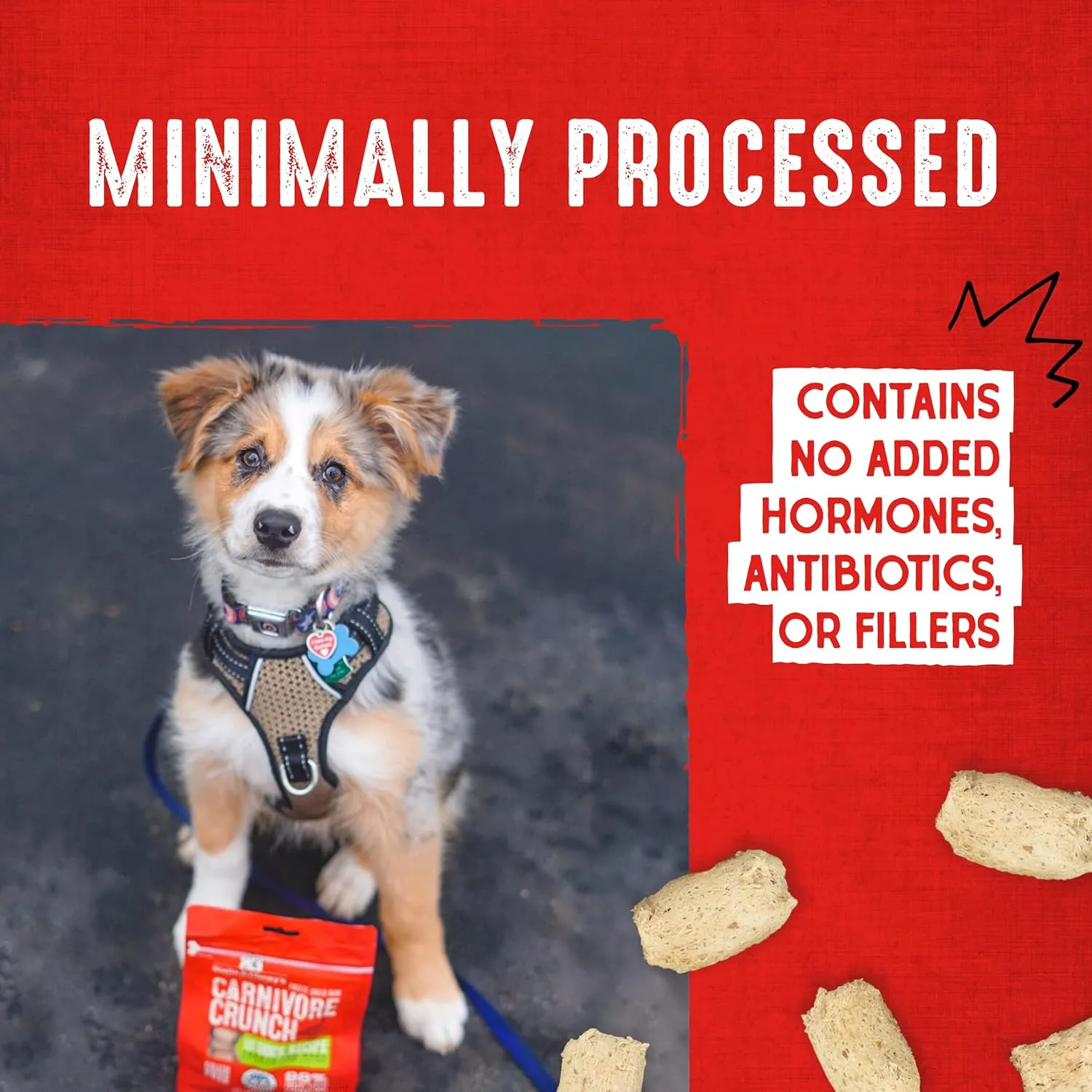 Stella & Chewy's Freeze-Dried Raw Carnivore Crunch Cage-Free Turkey Recipe Dog Treats  3.25 oz. Bag