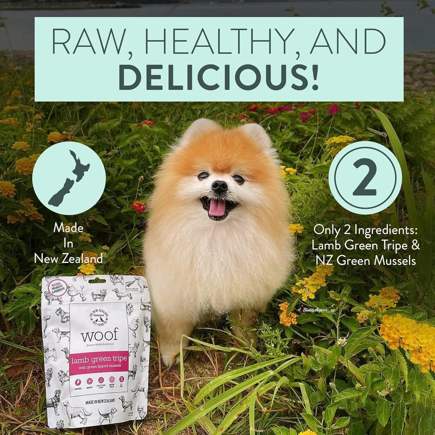 The New Zealand Natural Pet Food Co WOOF Freeze Dried Dog Treats - Lamb Green Tripe, High Protein, Large & Small Dog, Topper or Dog Treat - 1.4 oz