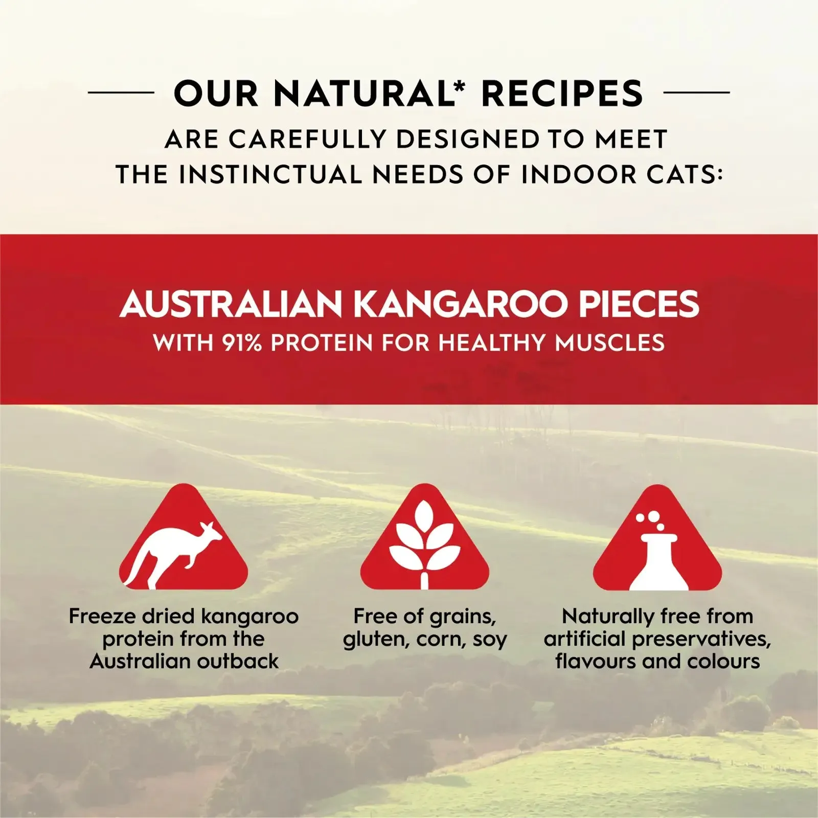 Trilogy Australian Freeze Dried Cat Treats - Kangaroo 50g