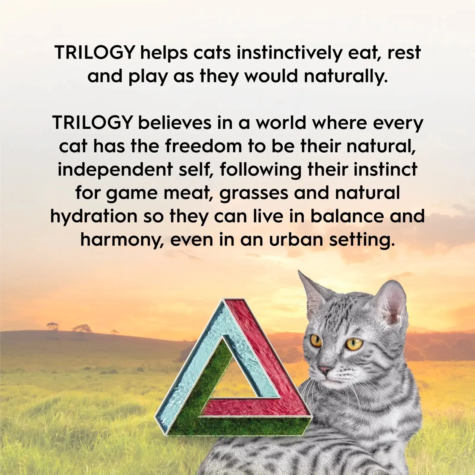 Trilogy Australian Freeze Dried Cat Treats - Kangaroo 50g
