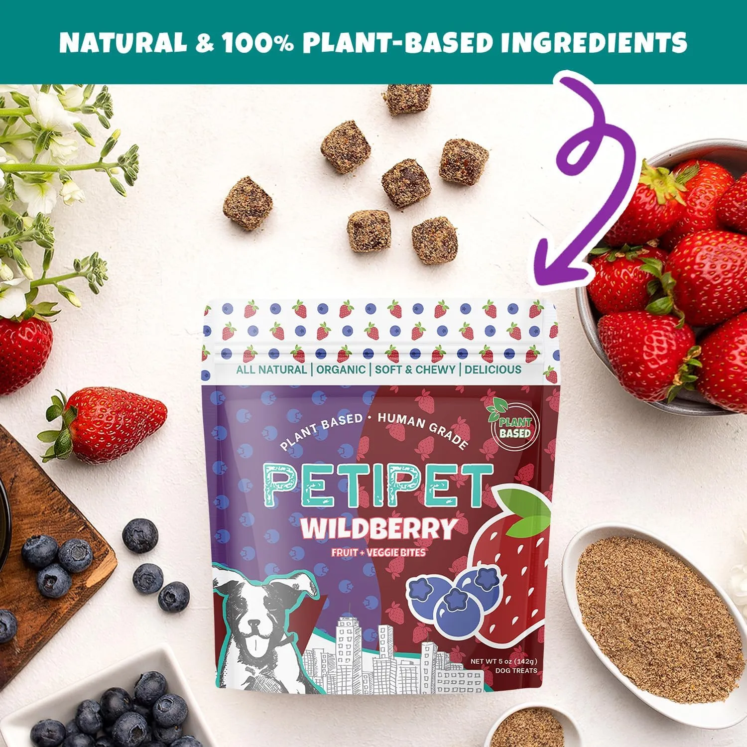 Wildberry Plant-Based Fruit Dog Treats - Strawberry, Apple, Blueberry Soft & Chewy Treats - Vegetarian, Vegan Dog Treats with Organic Ingredients - Low-Protein, Hypoallergenic, Gluten-Free