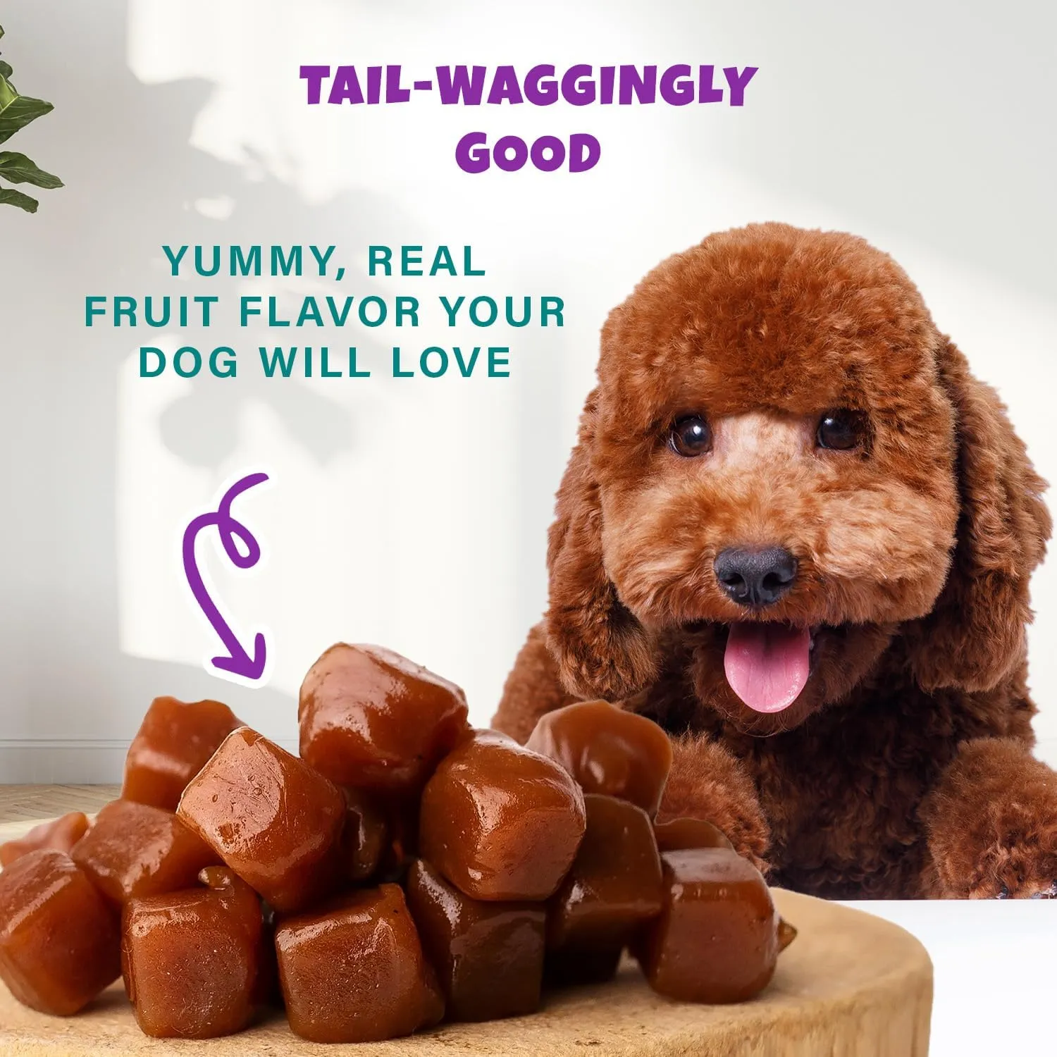 Wildberry Plant-Based Fruit Dog Treats - Strawberry, Apple, Blueberry Soft & Chewy Treats - Vegetarian, Vegan Dog Treats with Organic Ingredients - Low-Protein, Hypoallergenic, Gluten-Free