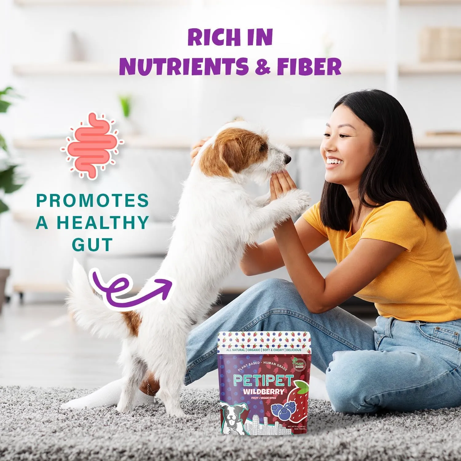 Wildberry Plant-Based Fruit Dog Treats - Strawberry, Apple, Blueberry Soft & Chewy Treats - Vegetarian, Vegan Dog Treats with Organic Ingredients - Low-Protein, Hypoallergenic, Gluten-Free