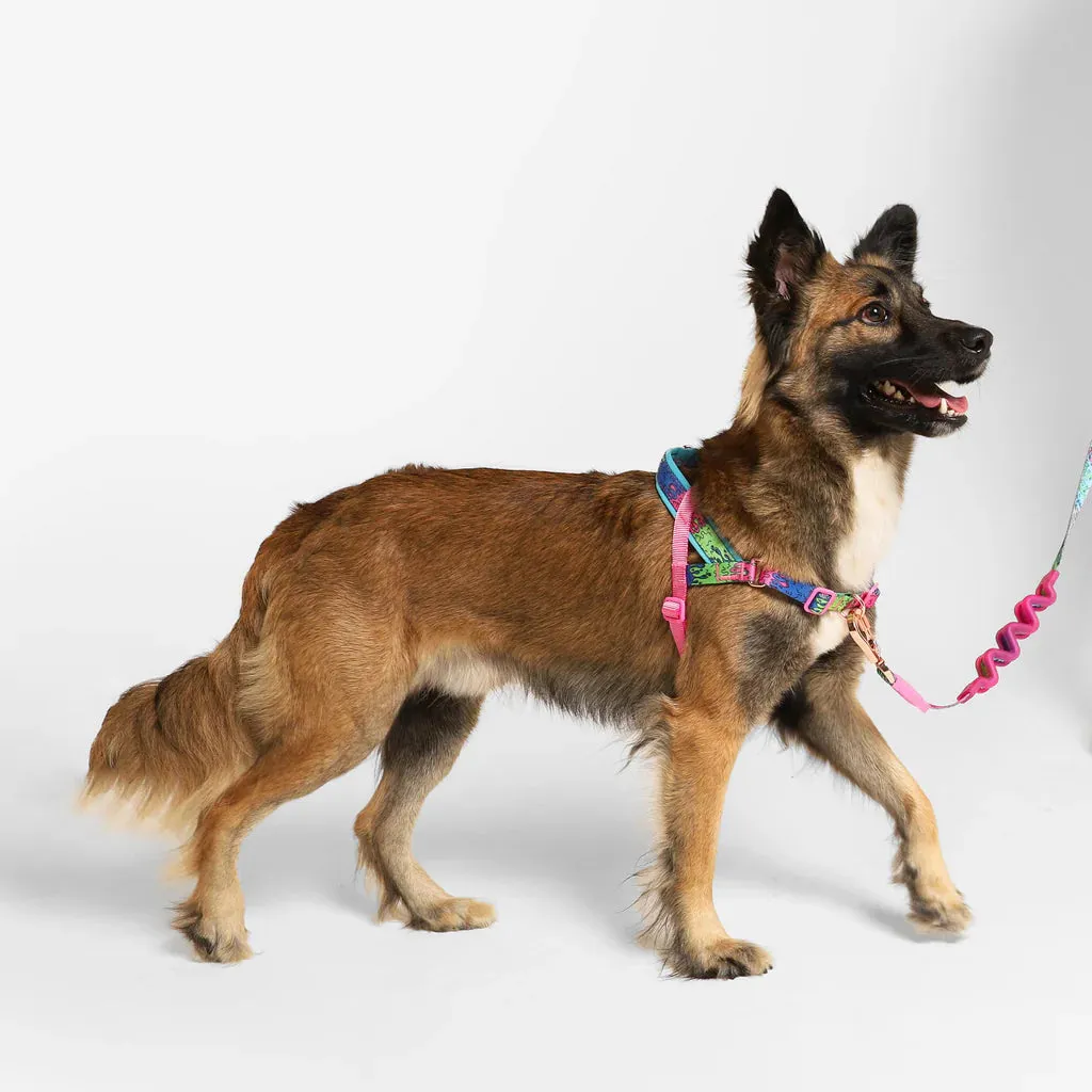 Zee Dog Melted SofterWalk Dog Harness