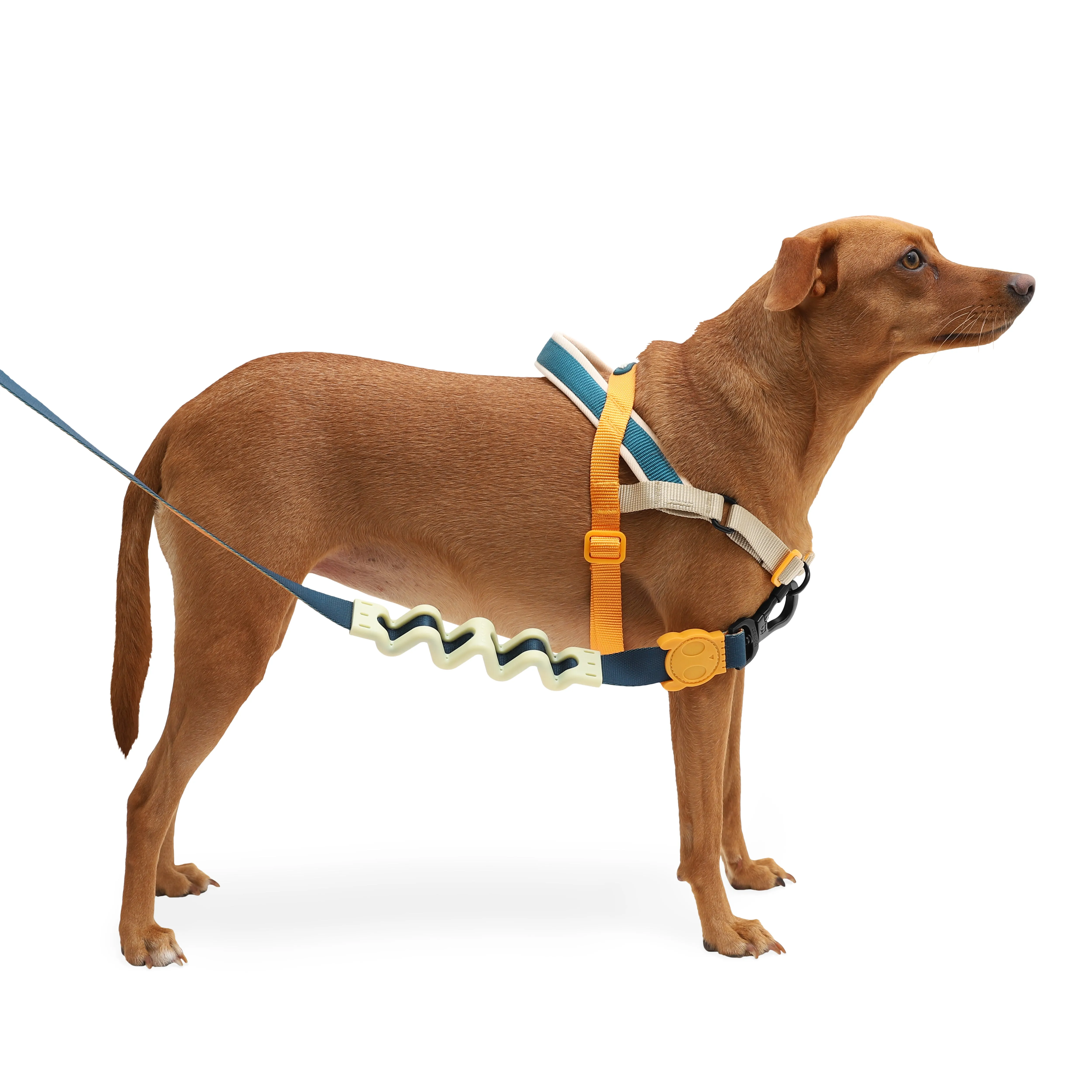 Zee Dog Voyage SofterWalk Dog Harness